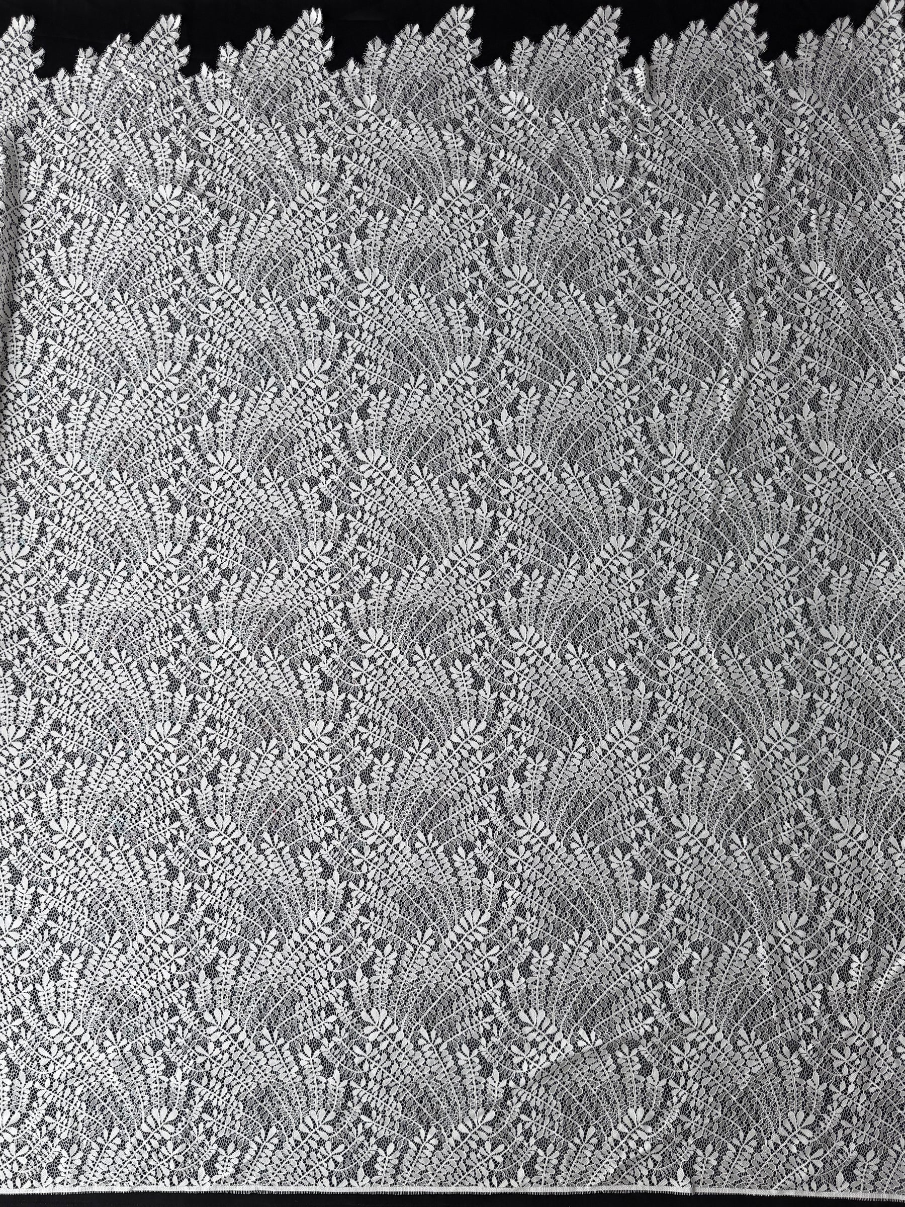 Dentelle à motif de feuilles ivoire - LA1007