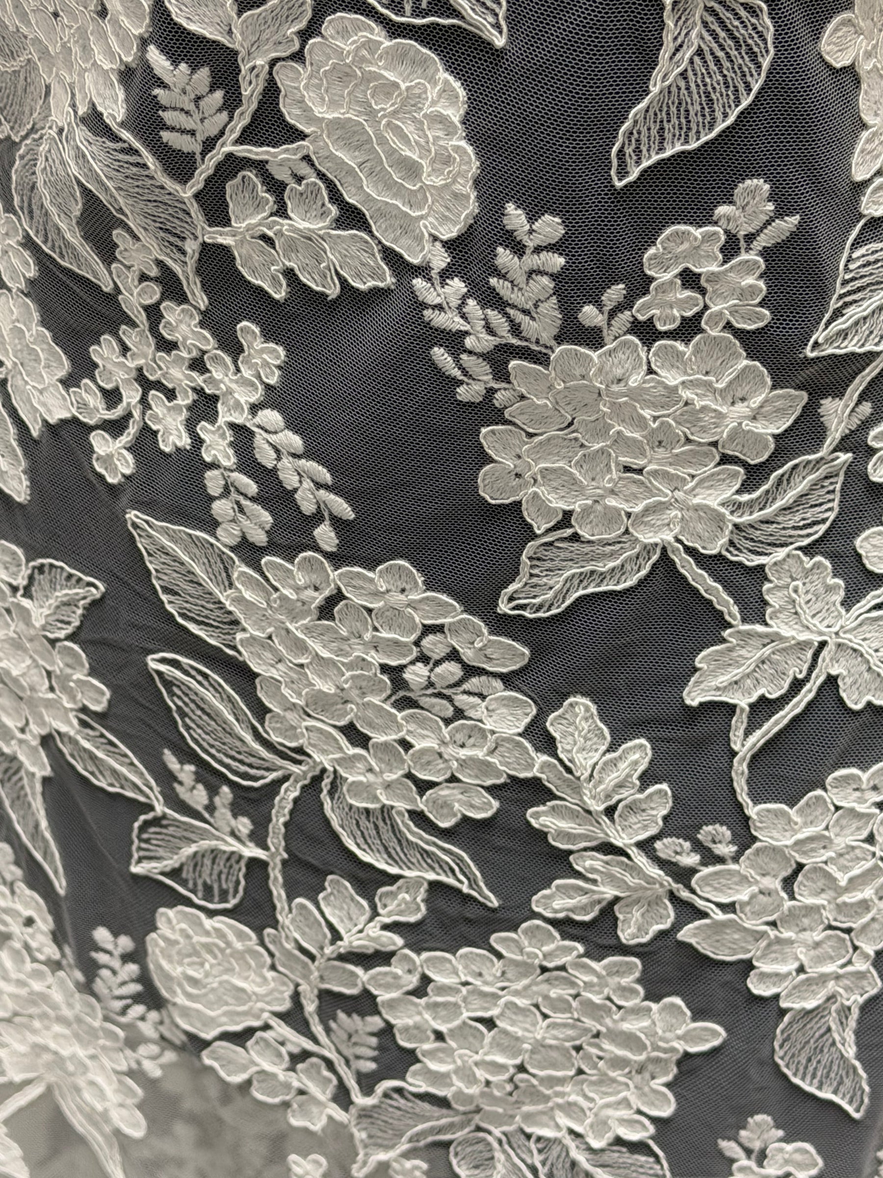 Dentelle brodée avec cordon ivoire italien - Paisley