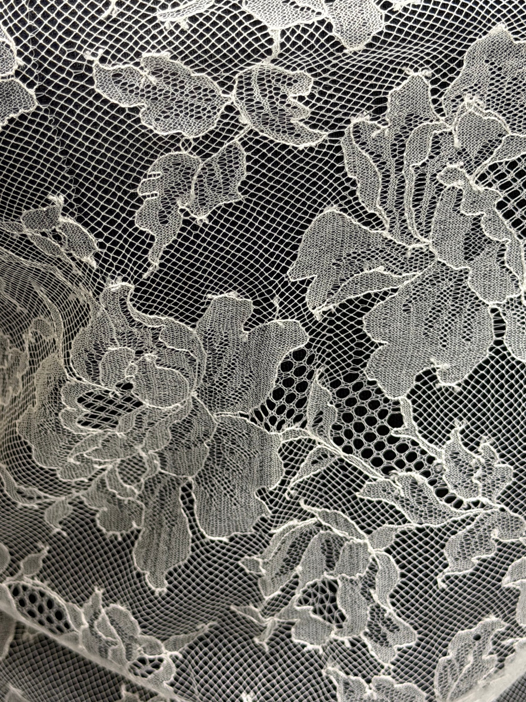 Dentelle Chantilly Ivoire - P177