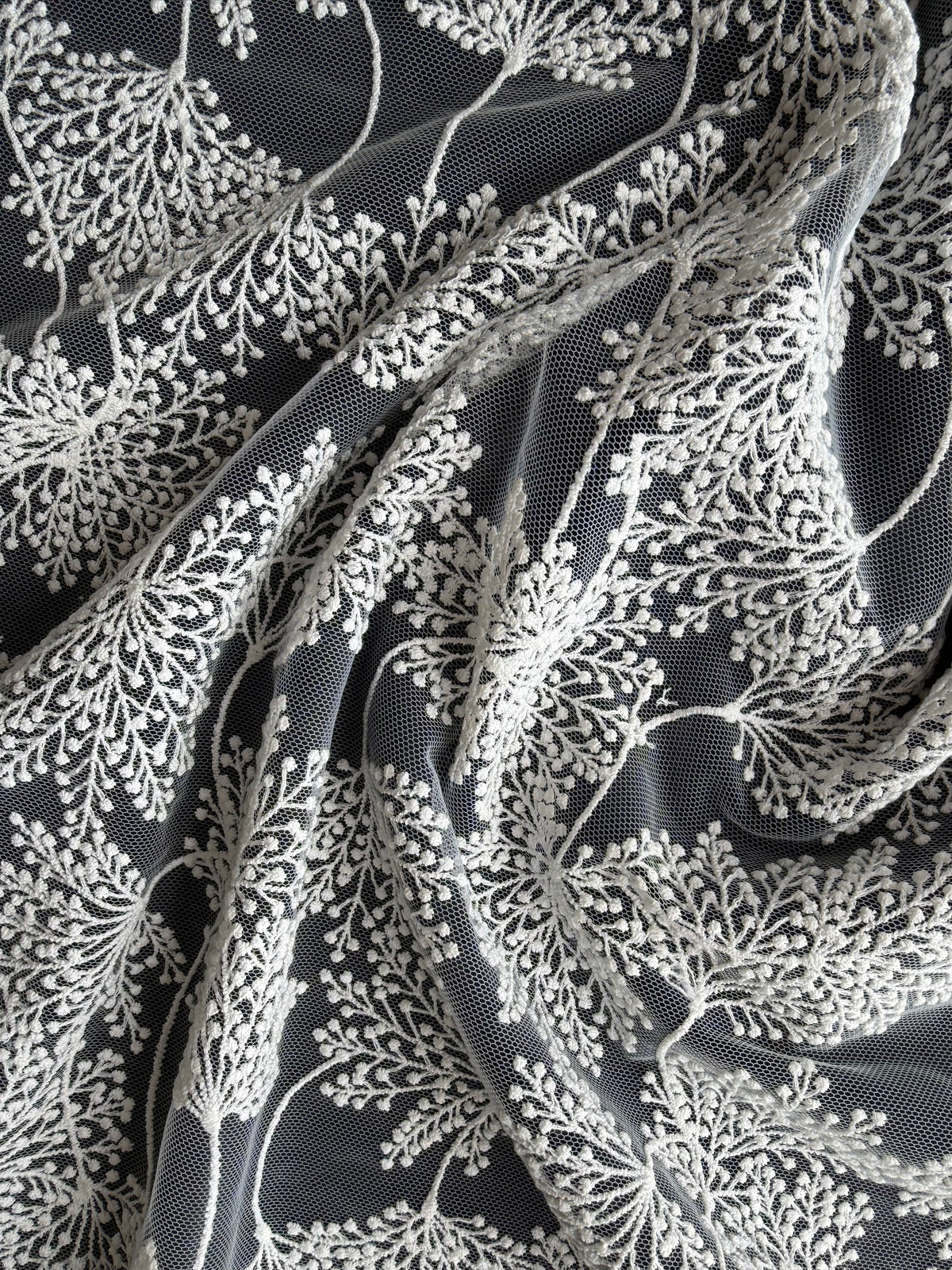 Dentelle brodée de fleurs ivoire - EB5037
