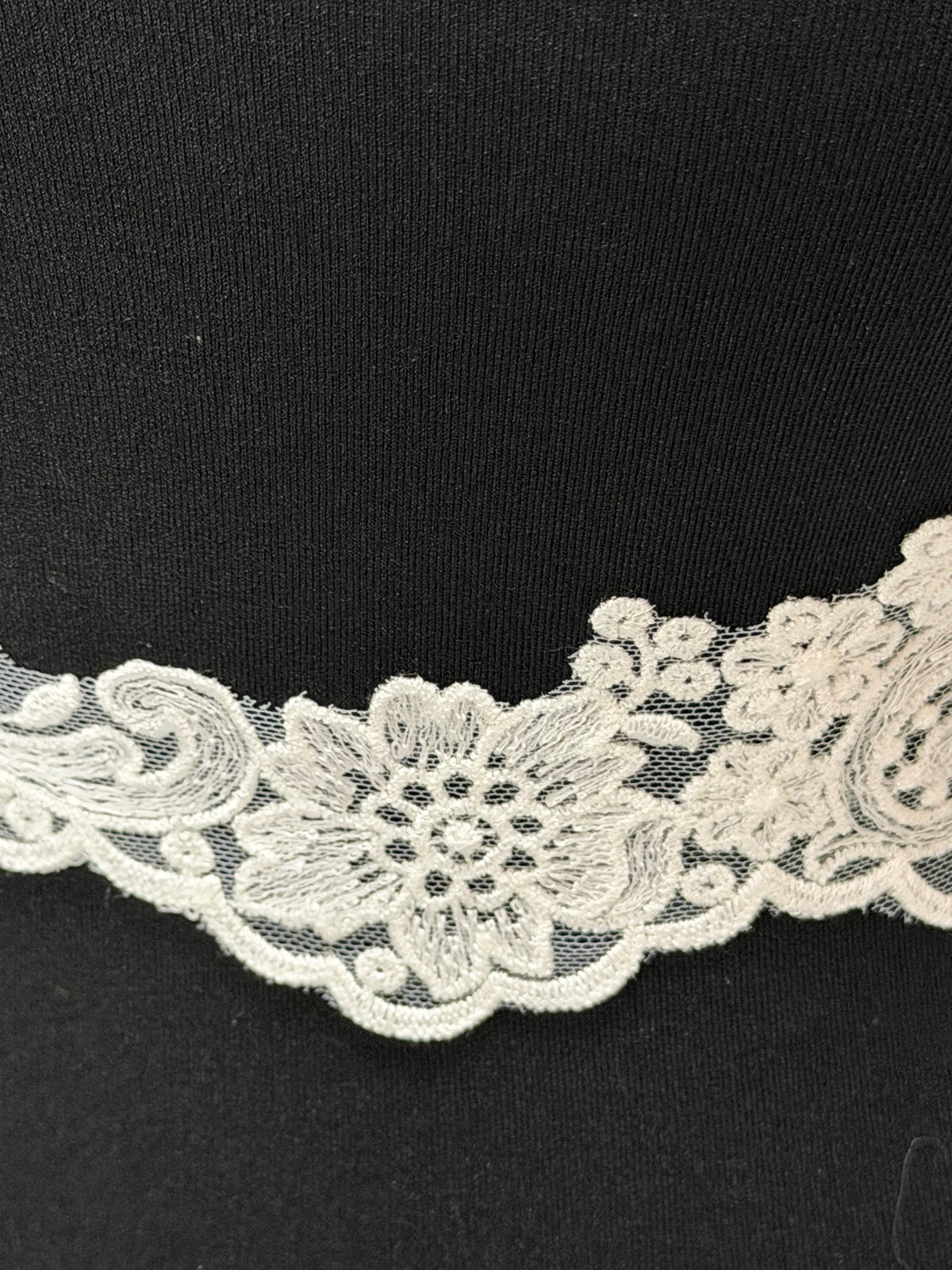 Galon de dentelle brodé ivoire - T746