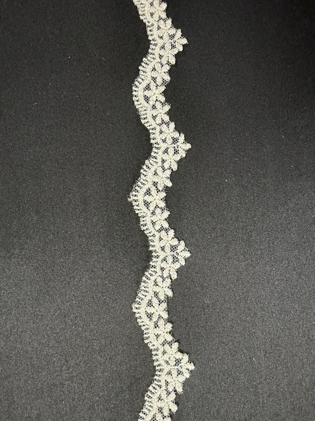 Galon en dentelle brodé ivoire - T828