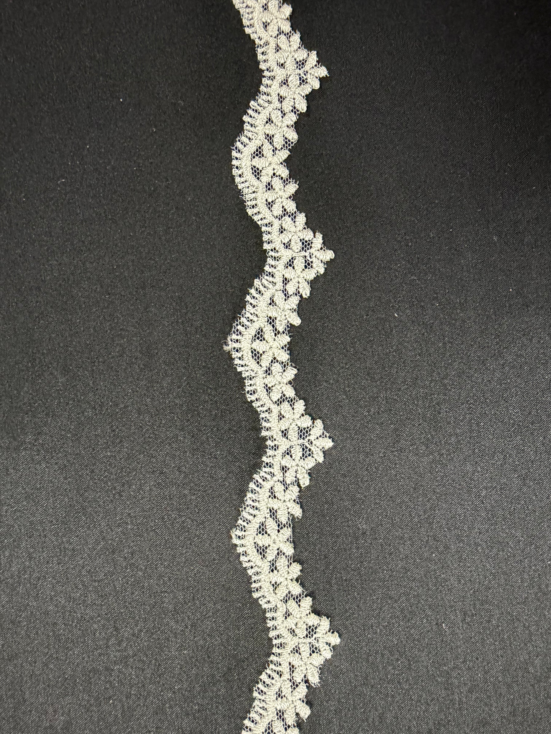 Galon en dentelle brodé ivoire - T828