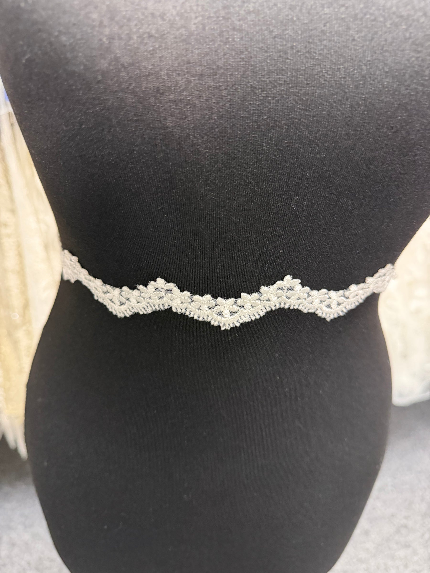 Galon en dentelle brodé ivoire - T828