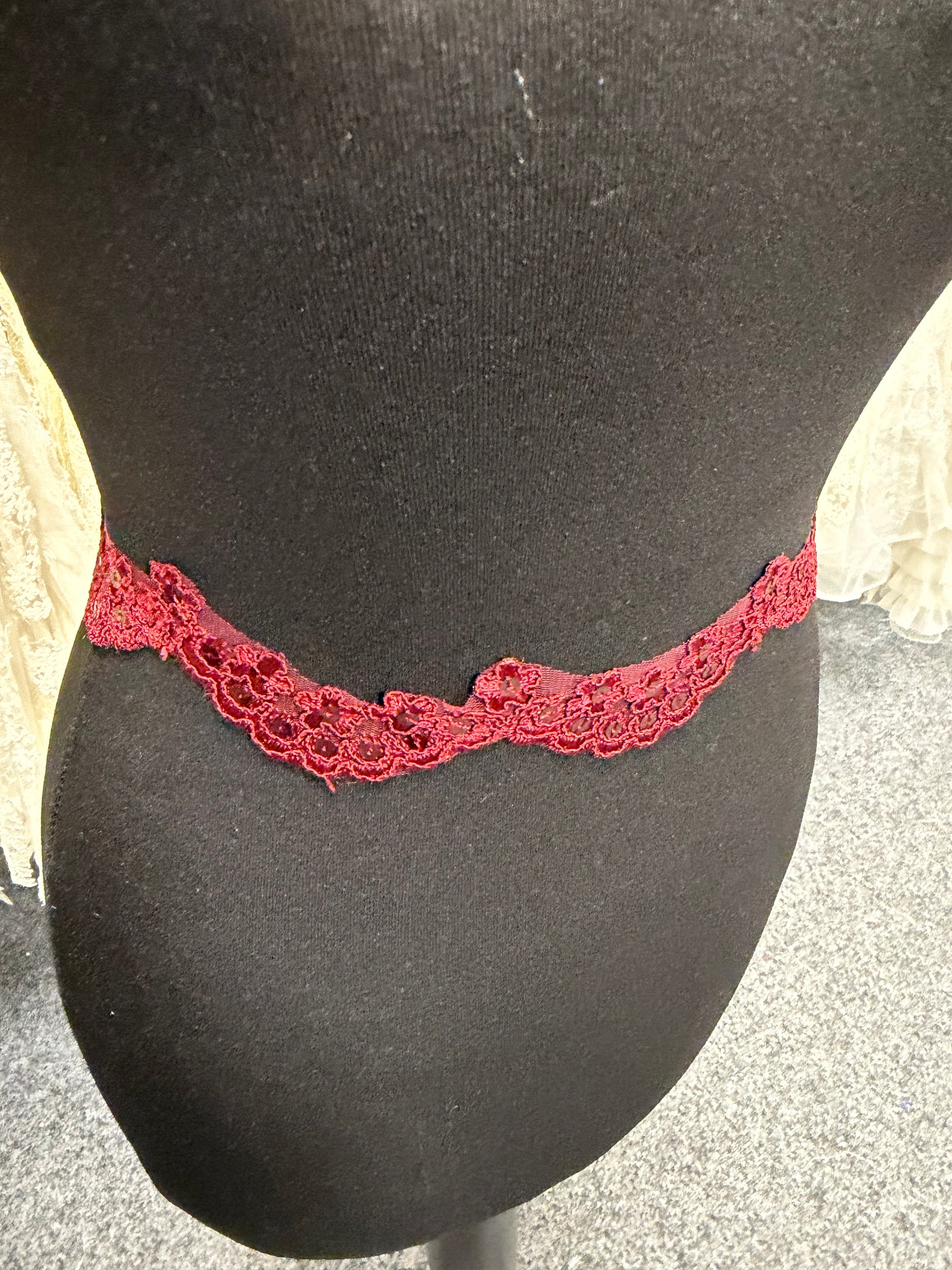 Bordure à sequins cordonnés lie-de-vin - T713