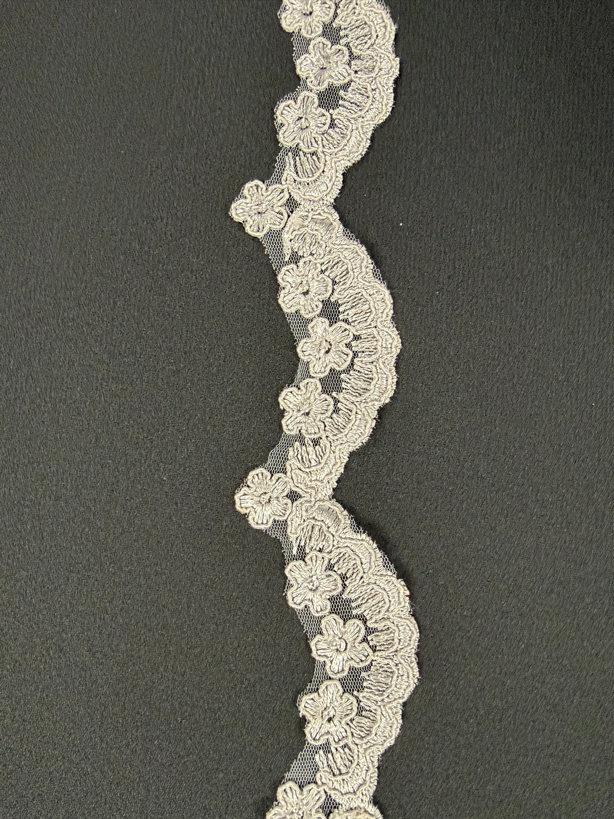 Bordure à paillettes argentée sur cordon - T713
