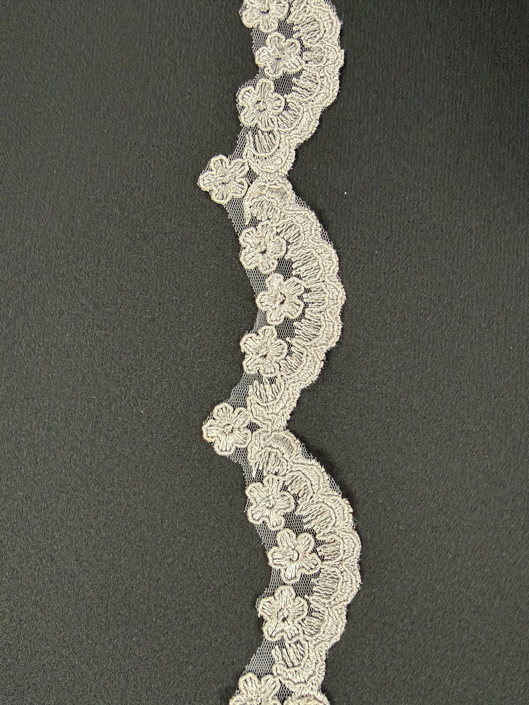 Bordure à paillettes argentée sur cordon - T713