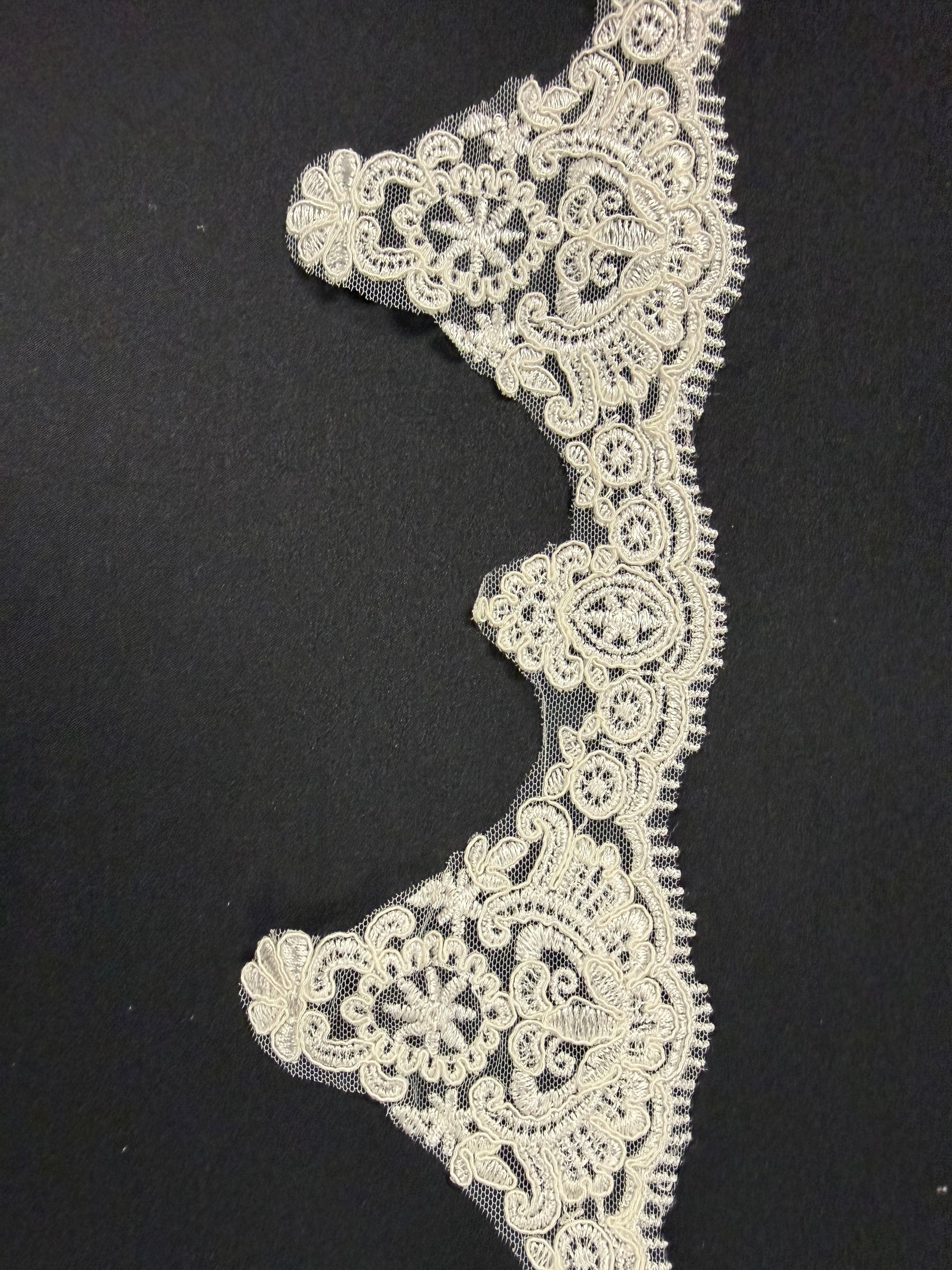 Galon de dentelle festonnée ivoire - T881