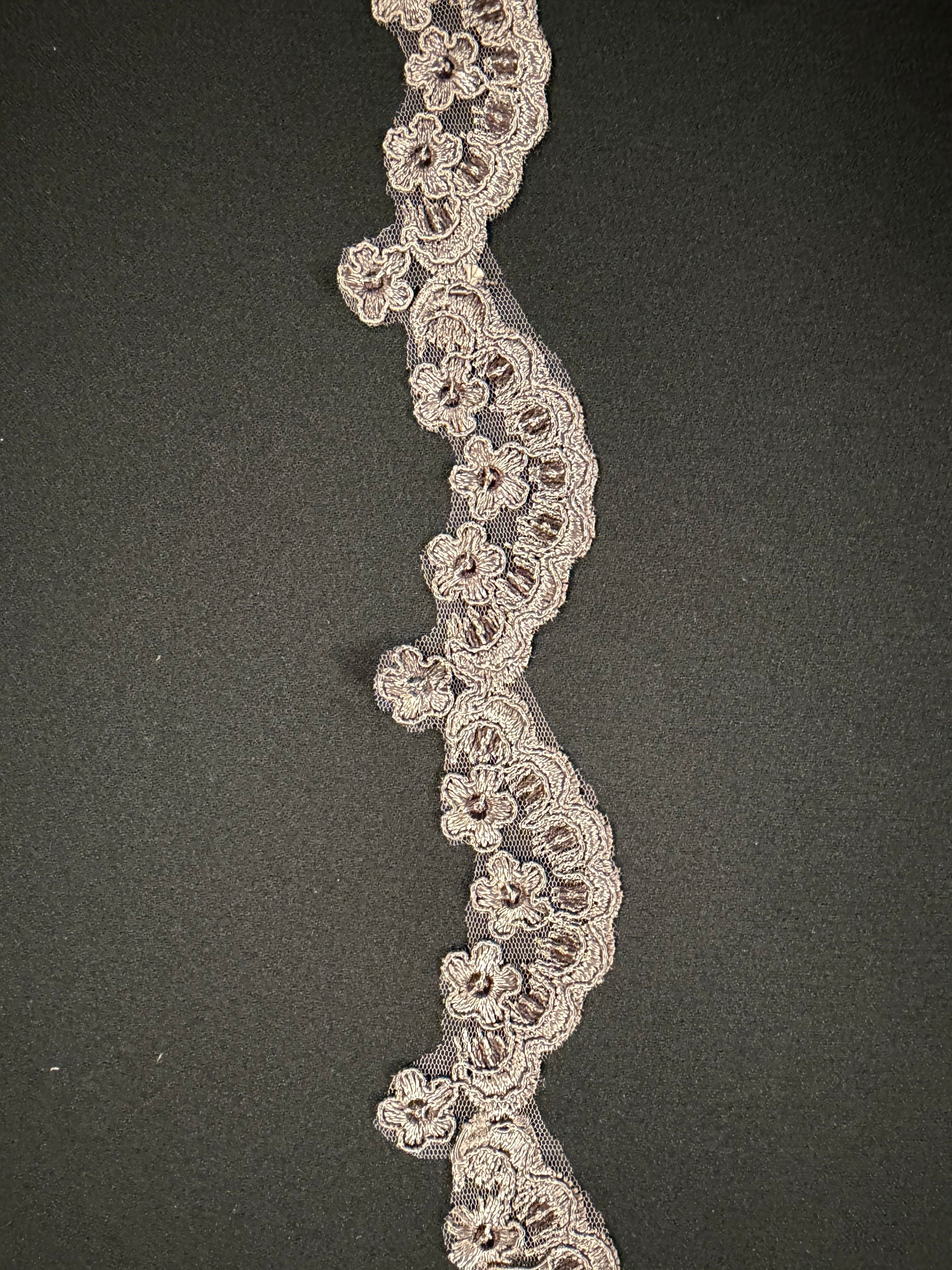 Bordure à paillettes cordée taupe - T713
