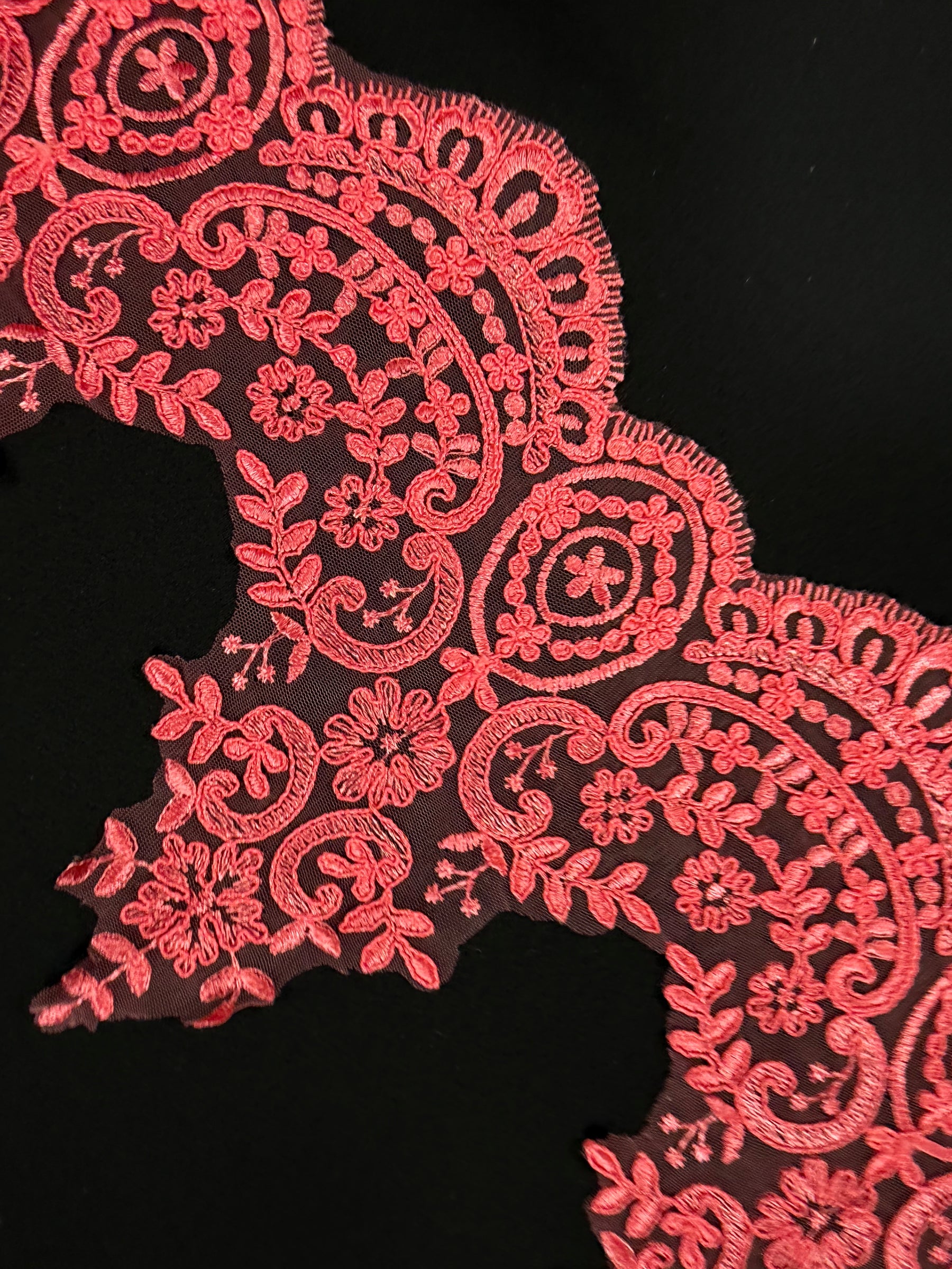 Passementerie en dentelle festonnée corail - T623