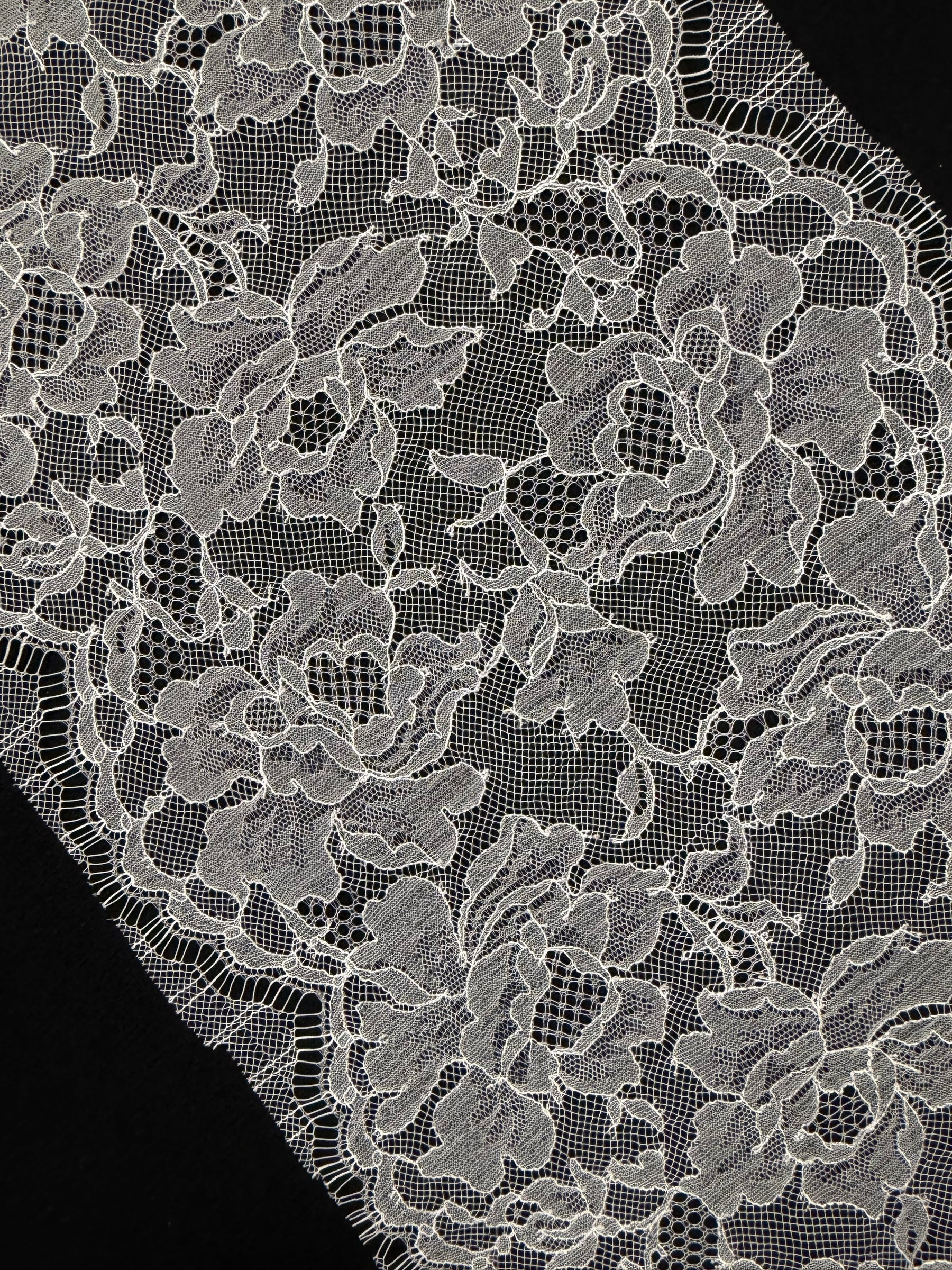 Bordure en dentelle française ivoire - T555