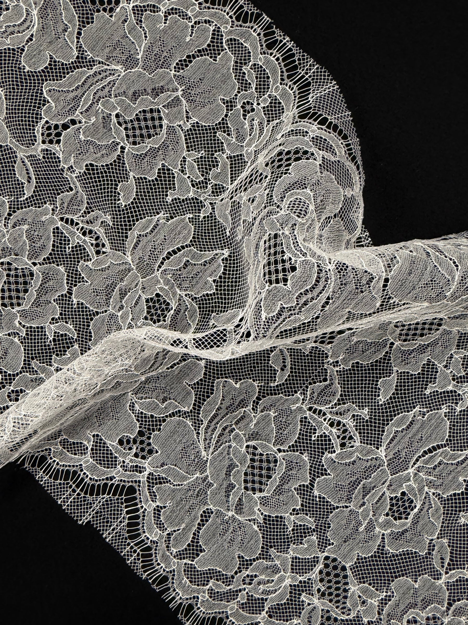 Bordure en dentelle française ivoire - T555