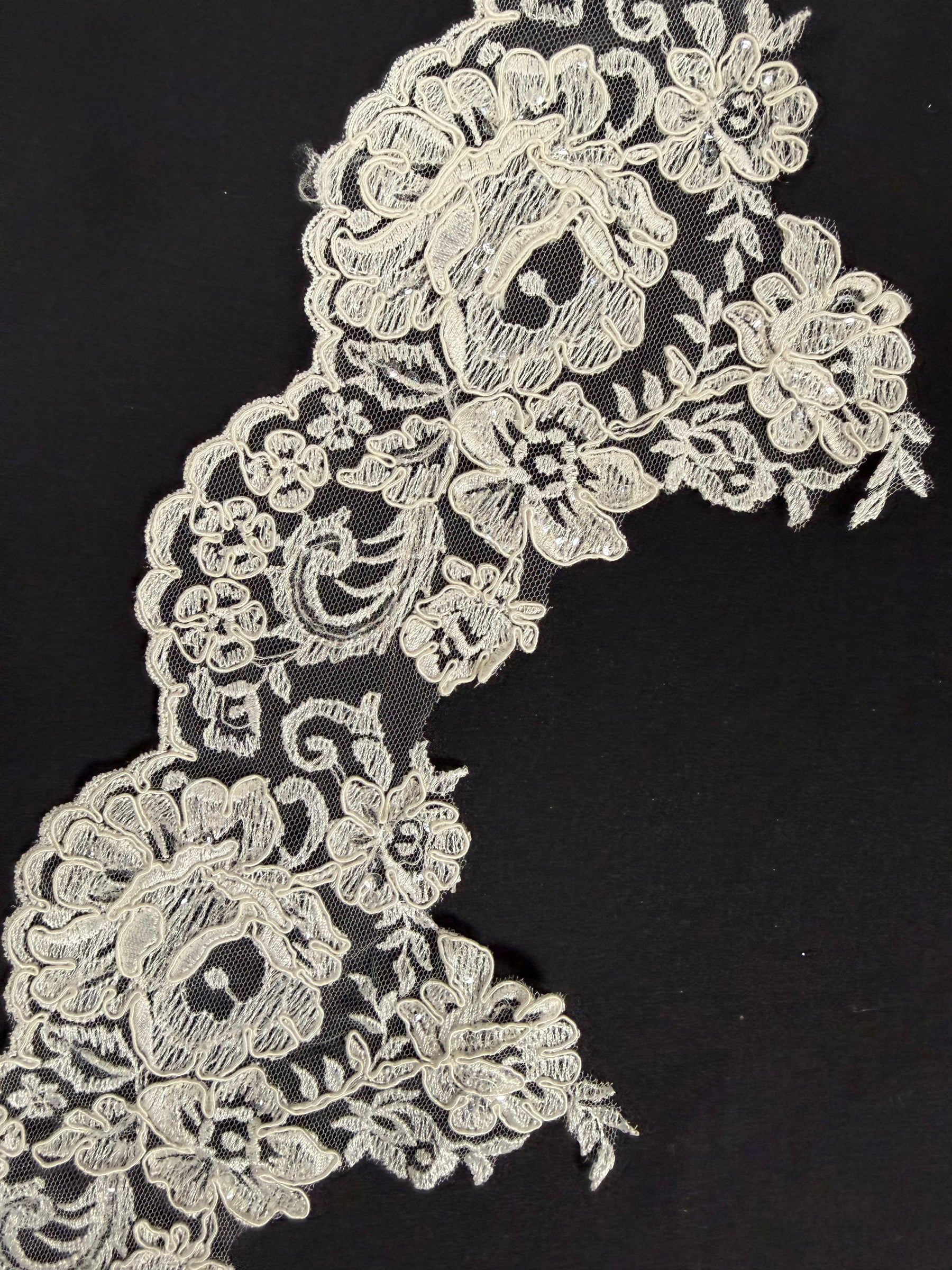 Dentelle perlée ivoire - T393