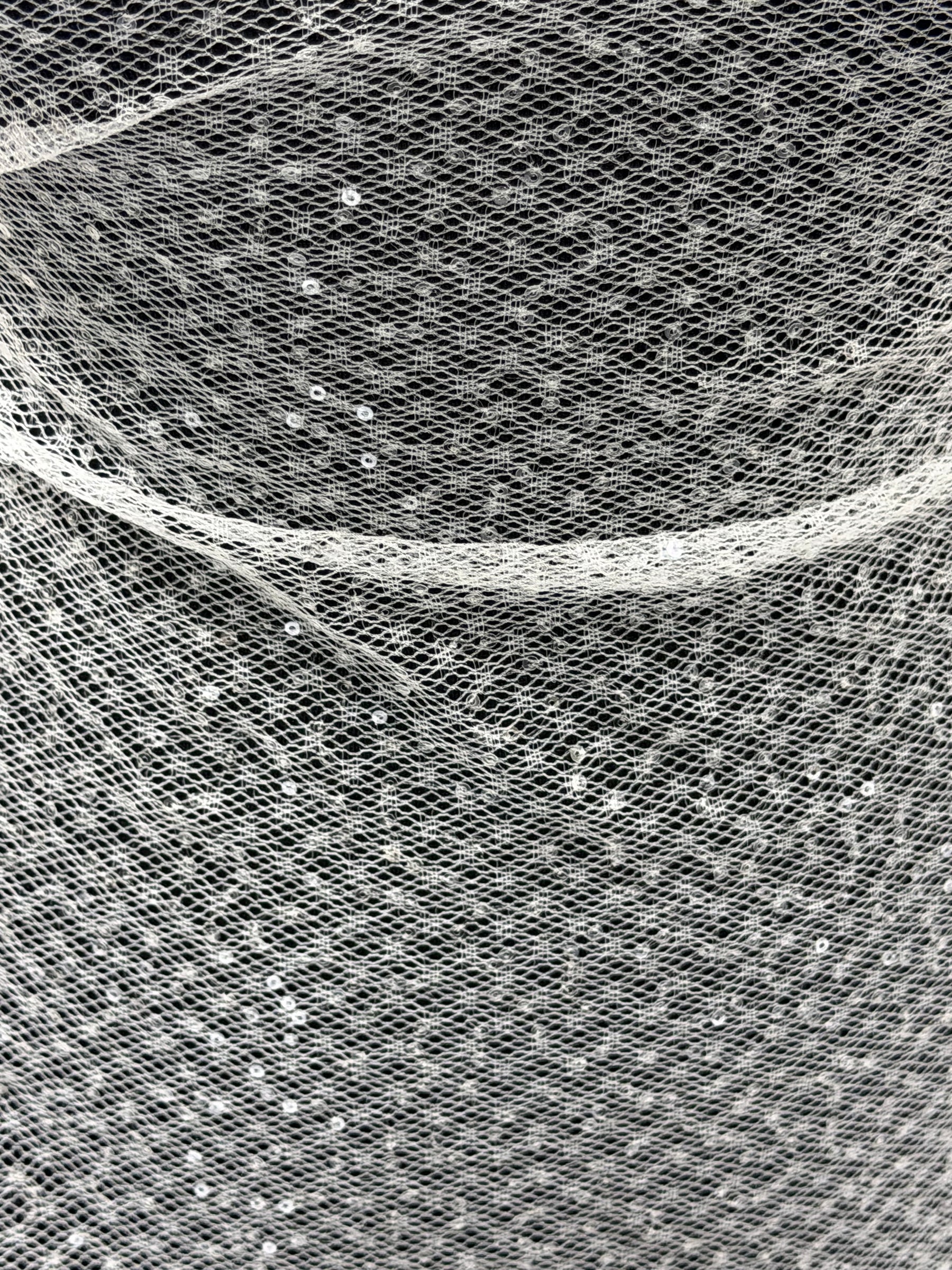 Dentelle Raschel à paillettes ivoire - EB3046