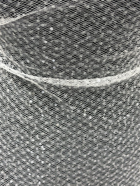 Dentelle Raschel à paillettes ivoire - EB3046