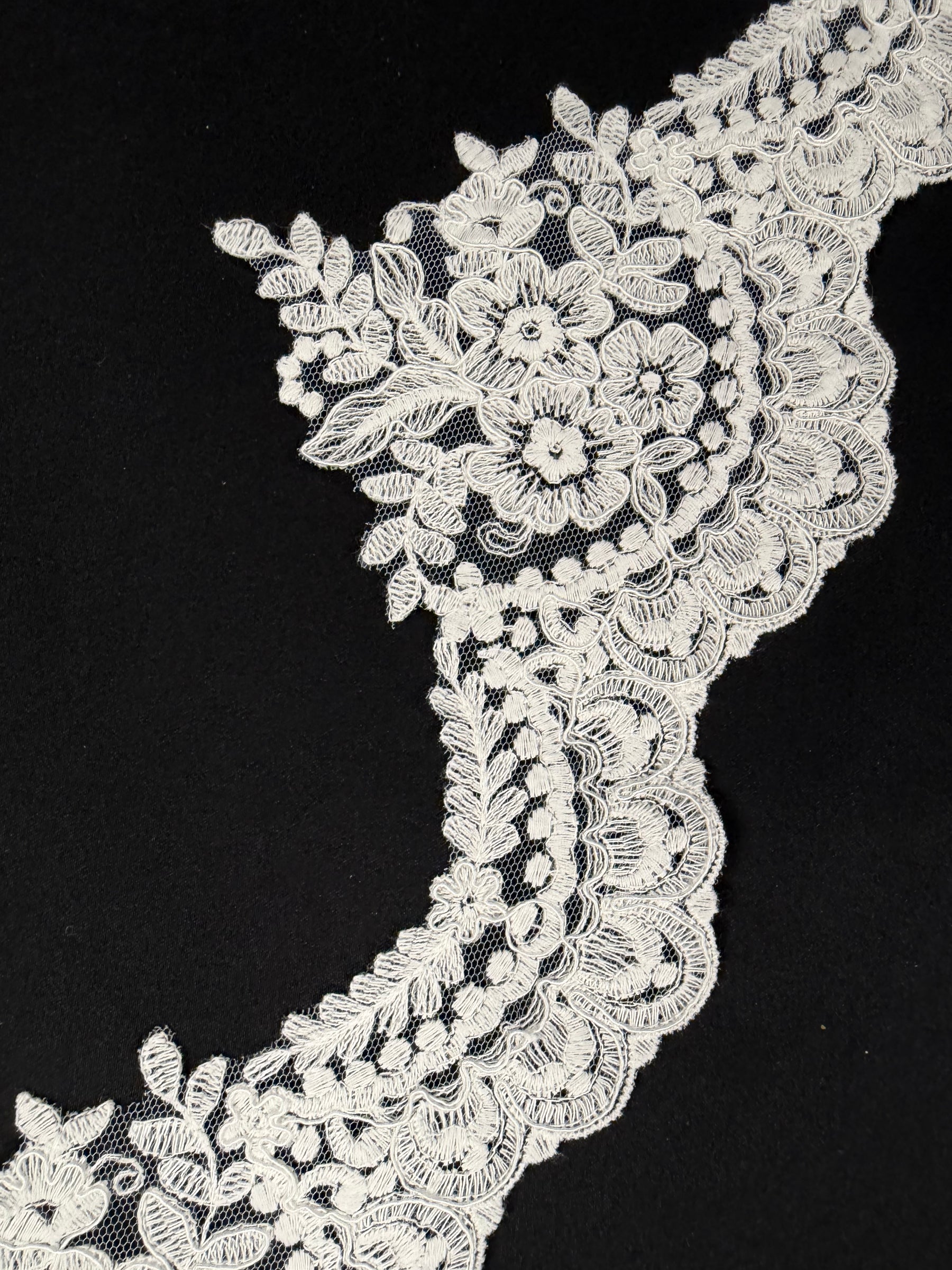 Galon de dentelle festonnée ivoire - T644