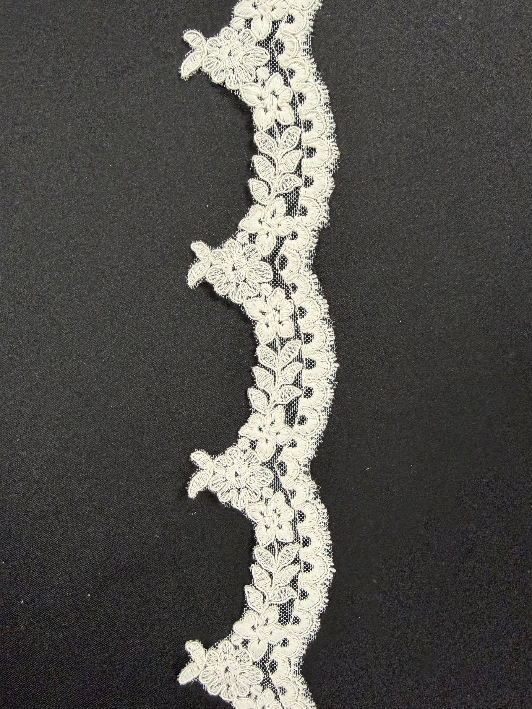 Bordure en dentelle festonnée ivoire - T662