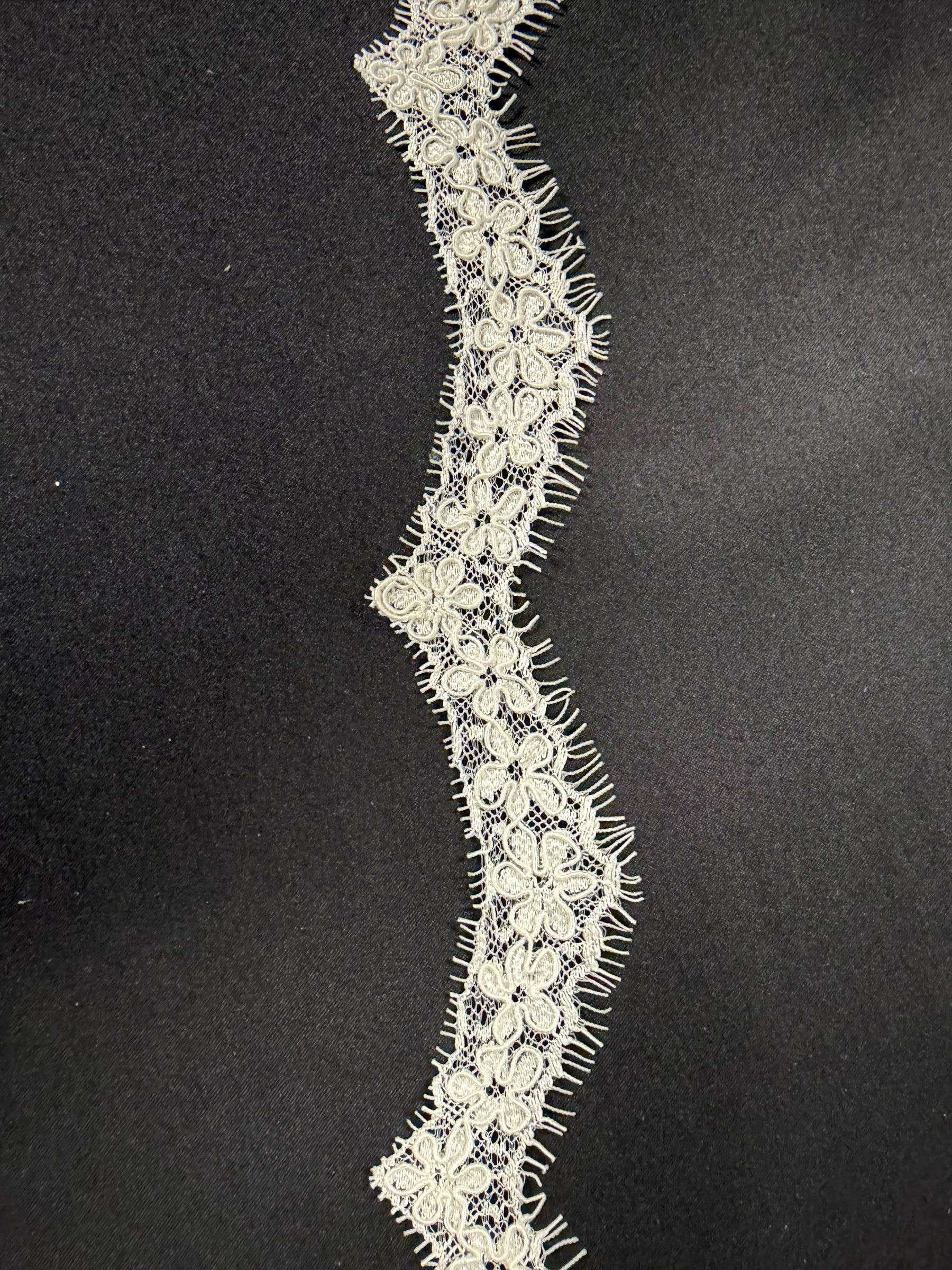 Bordure en dentelle cordée ivoire - T683