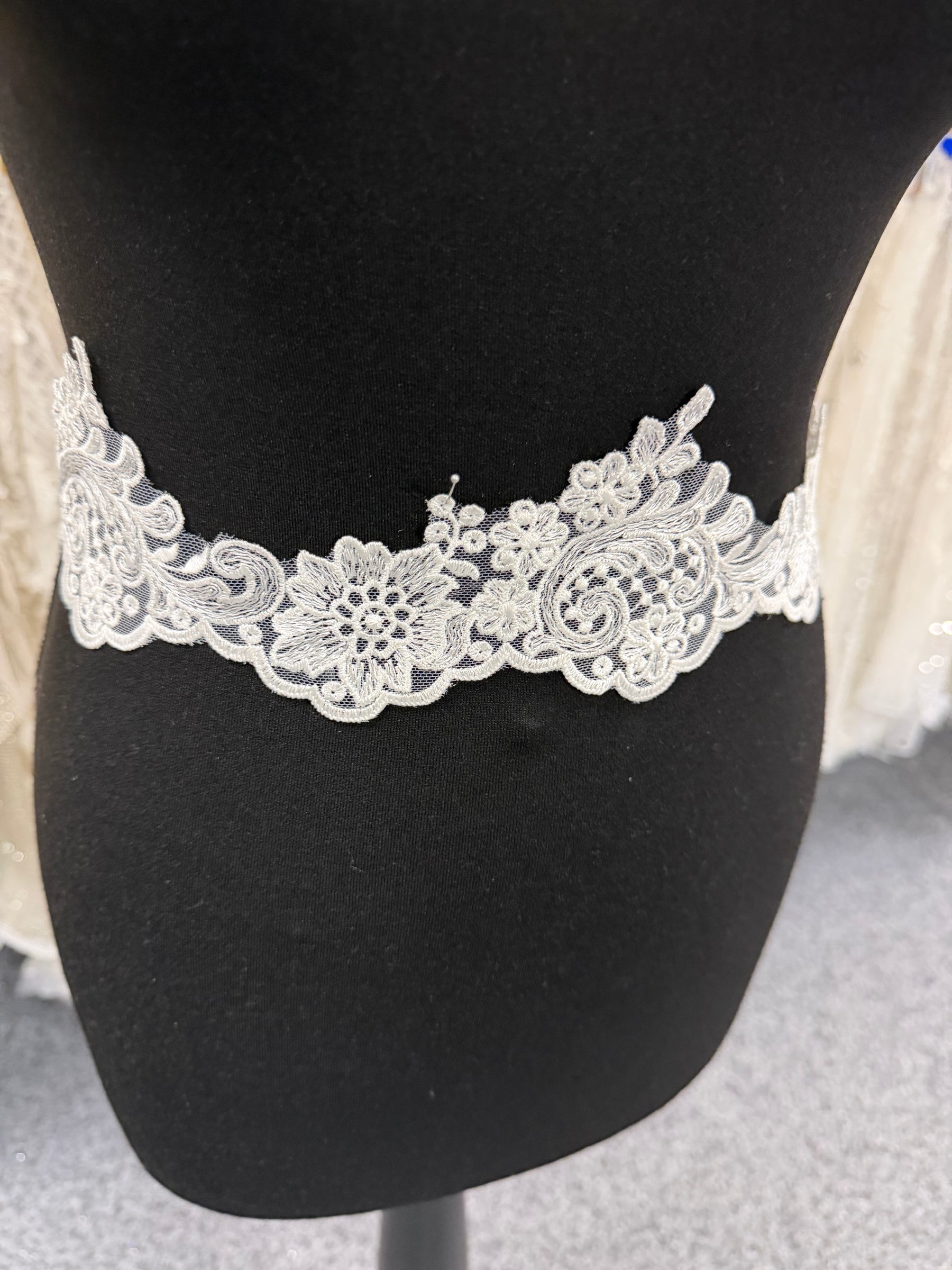 Galon de dentelle brodé ivoire - T746