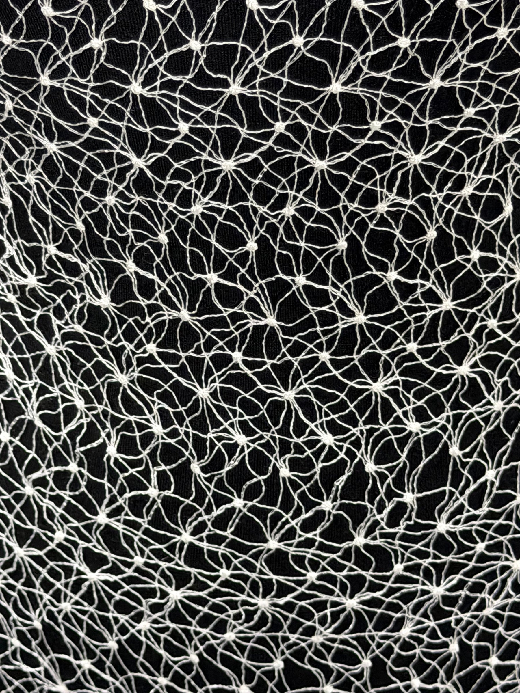 Dentelle Raschel ivoire - Ripley