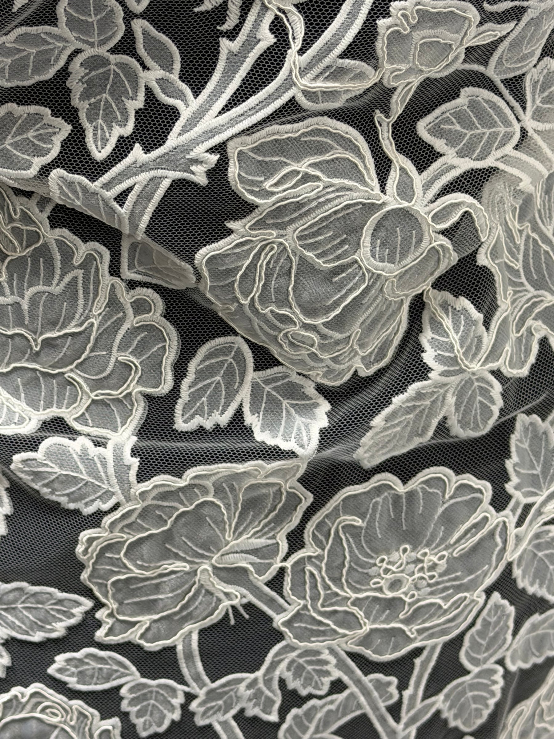 Dentelle brodée ivoire – Brave