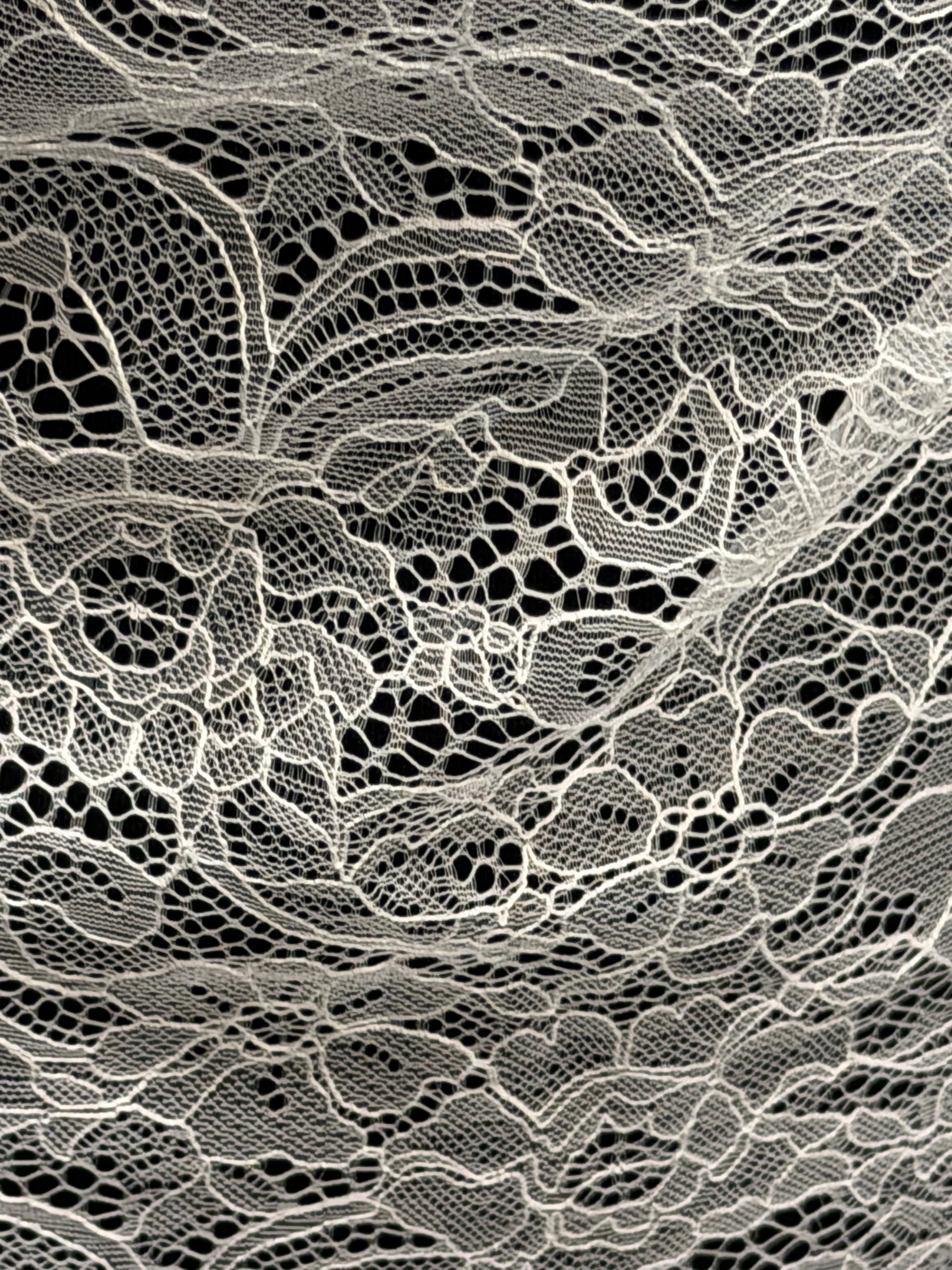 Dentelle Raschel ivoire - P412
