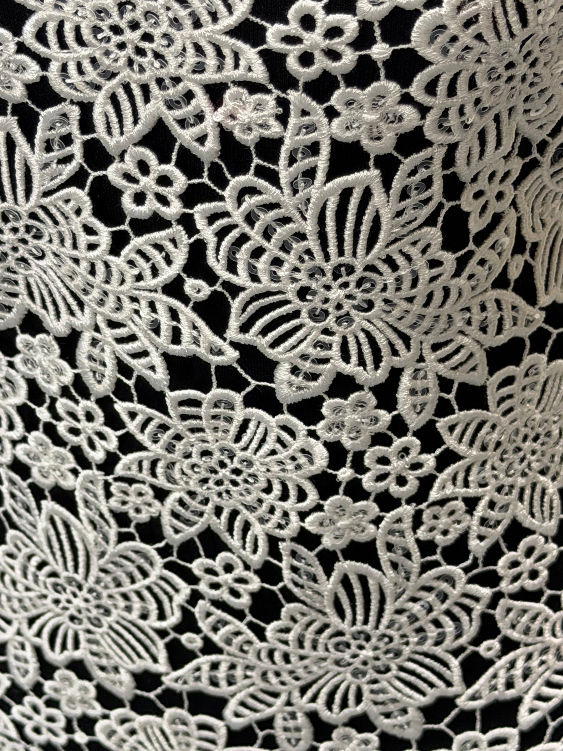 Dentelle Guipure de Séquins Ivoire - P414