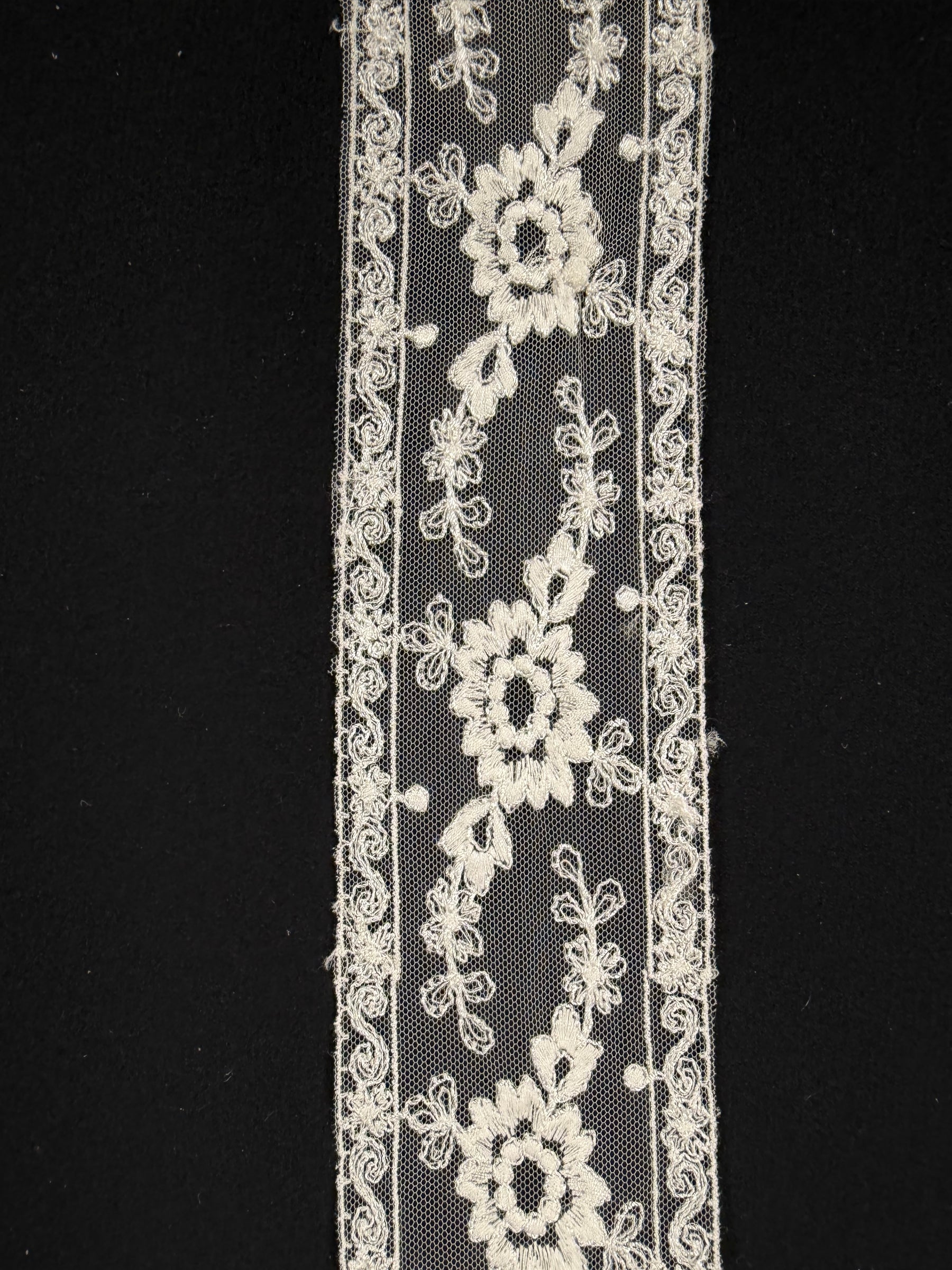 Bordure Ivoire - T235