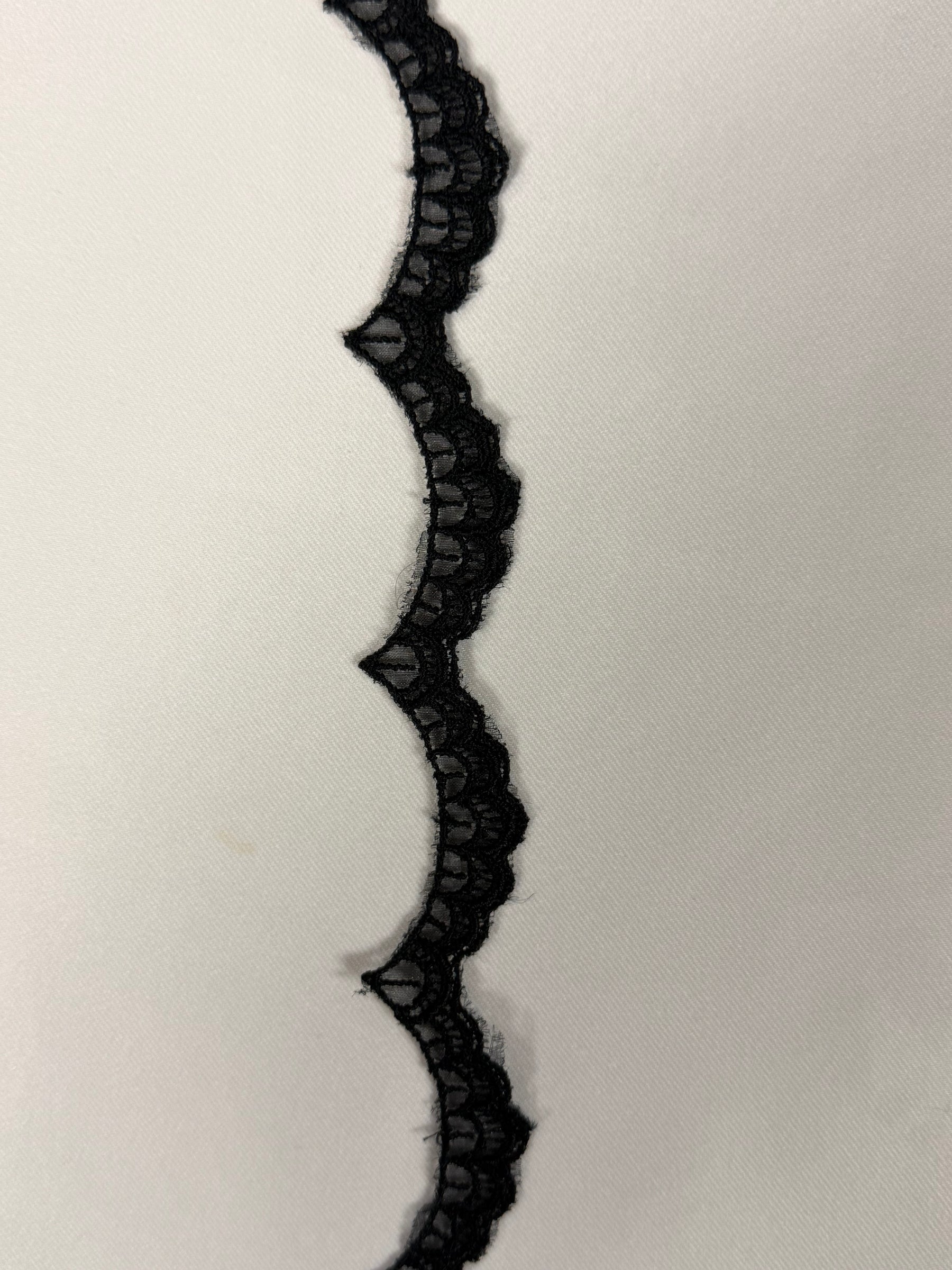 Bordure en dentelle brodée noire - T232