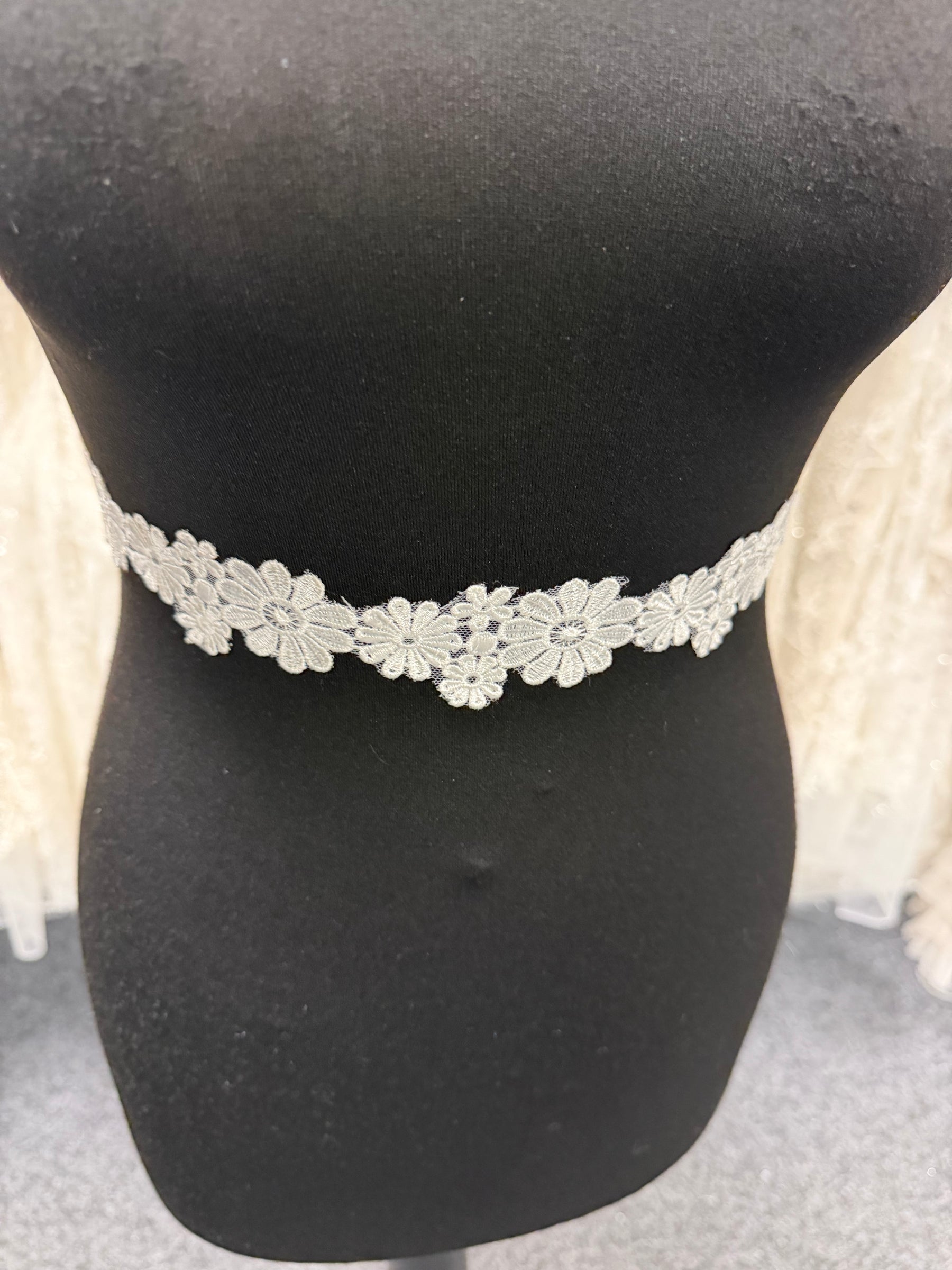 Galon de dentelle brodée ivoire - T934