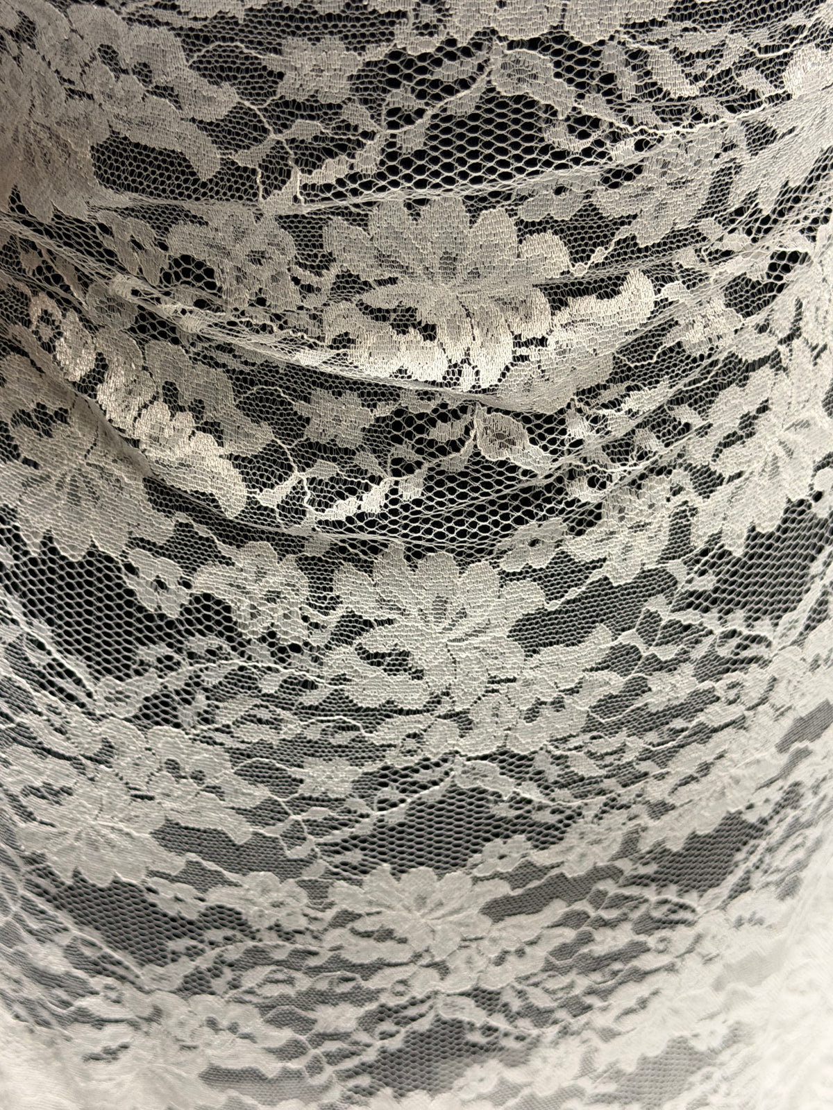 Dentelle Rachel Ivoire Pâle - P384