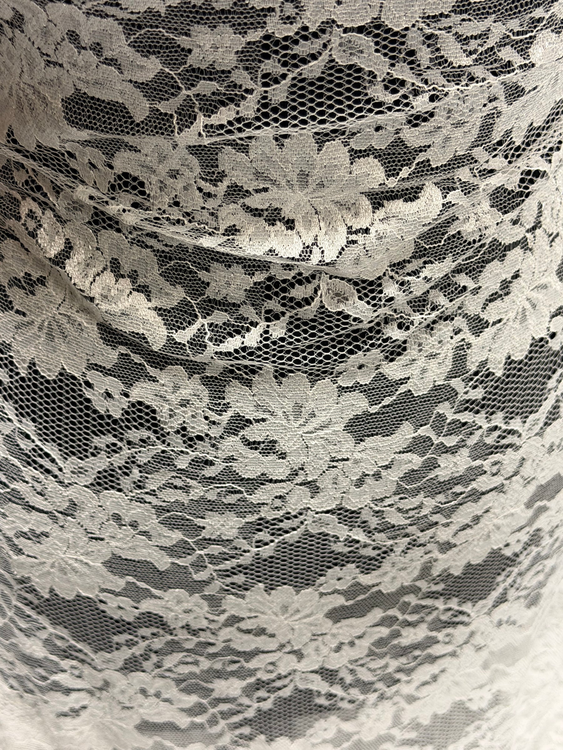 Dentelle Rachel Ivoire Pâle - P384
