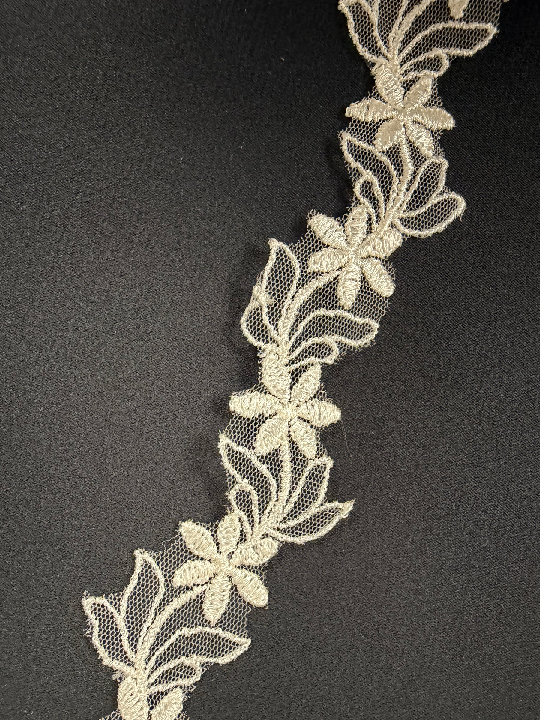 Bordure brodée ivoire - T7