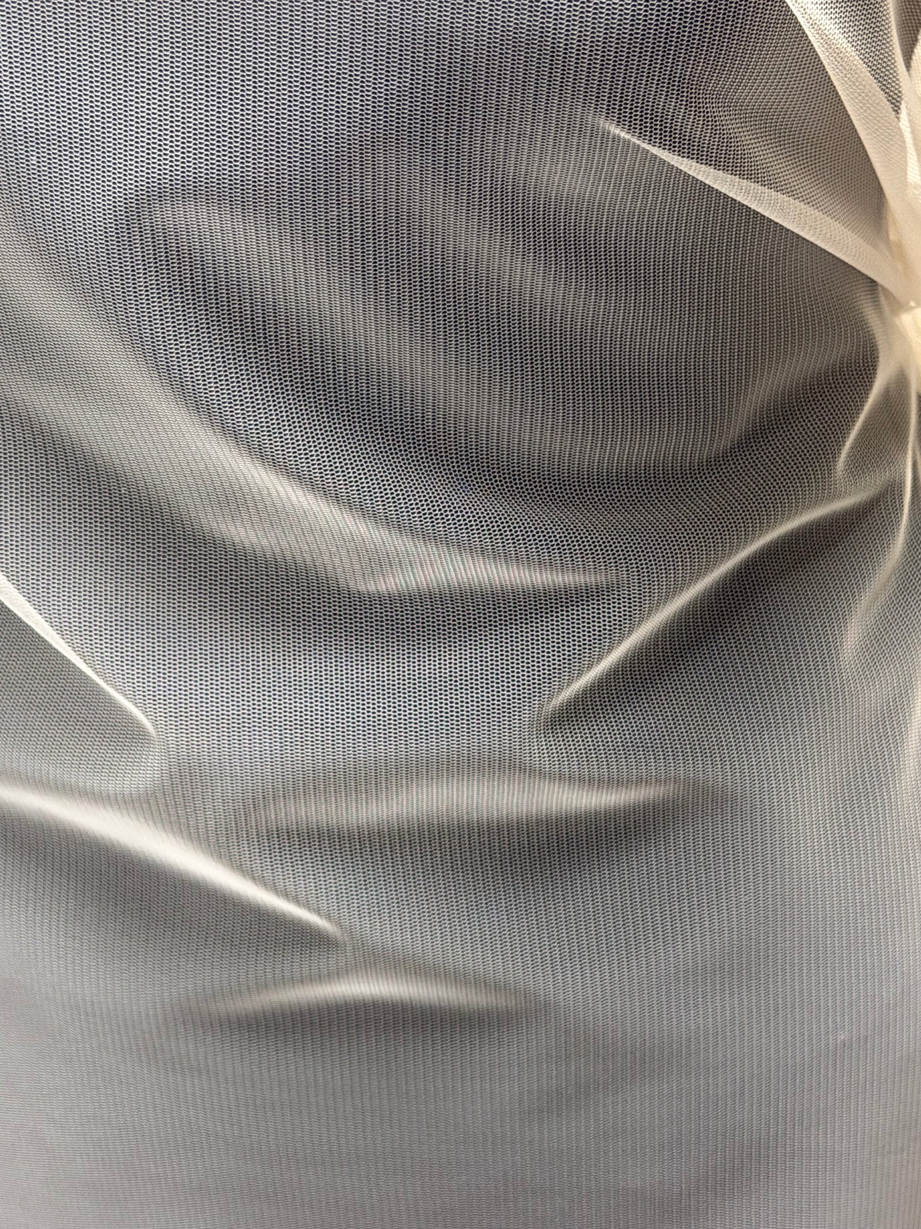 Tulle beige - Carnaval
