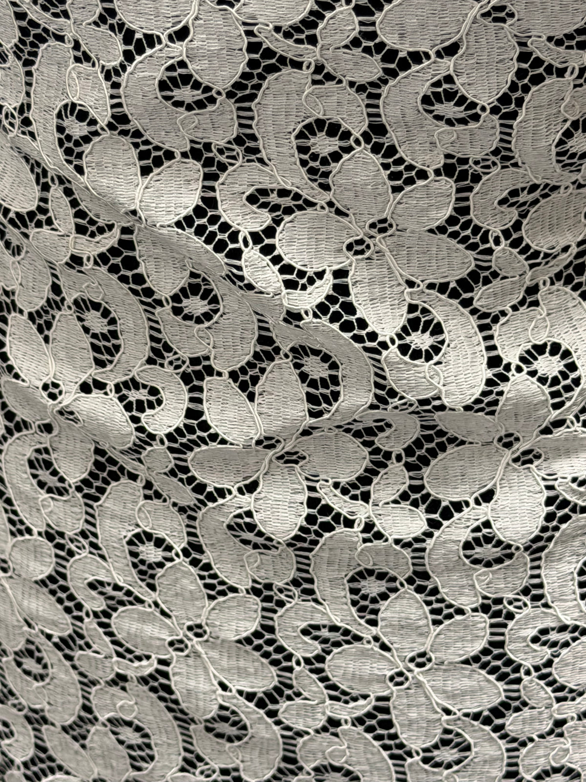 Dentelle française festonnée ivoire - LA4008