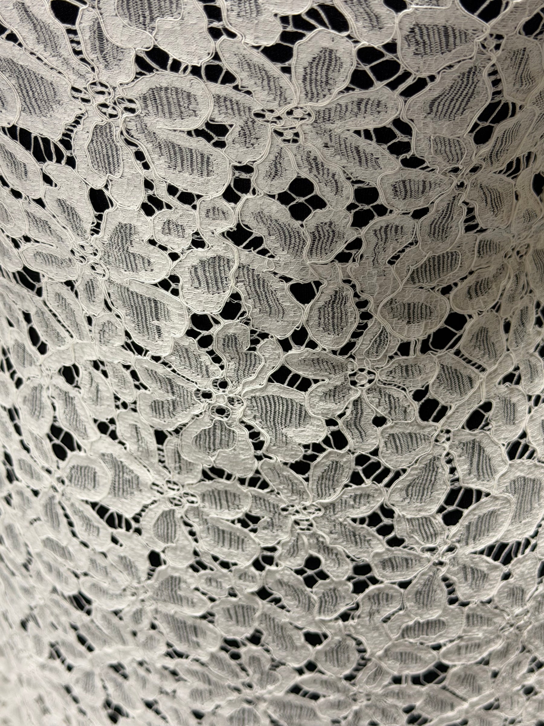 Dentelle française festonnée ivoire - LA4006