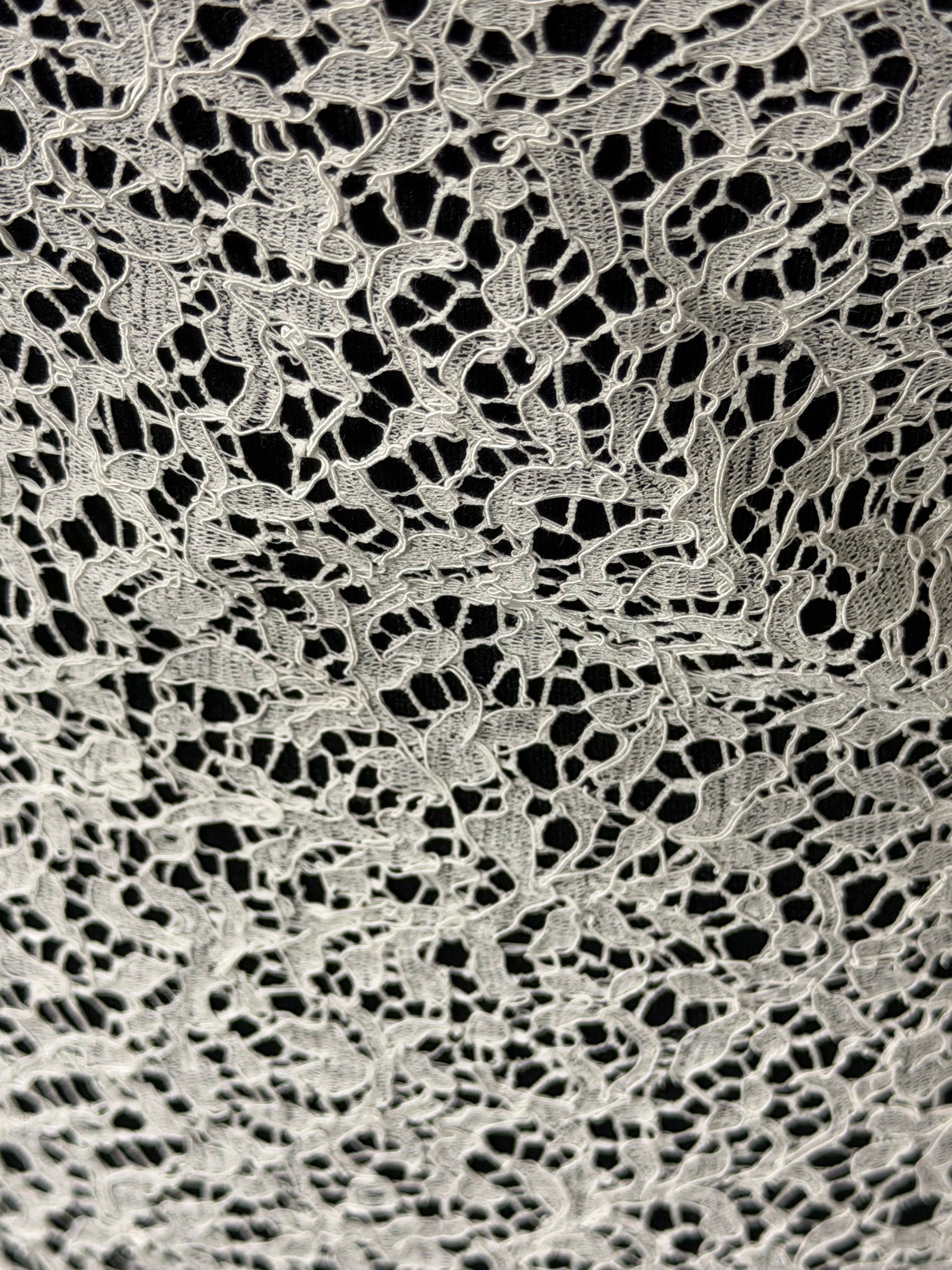 Dentelle française ivoire brodée - LA4005