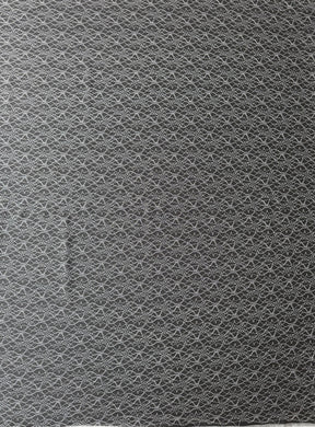 Tulle brodé ivoire clair - EB5030