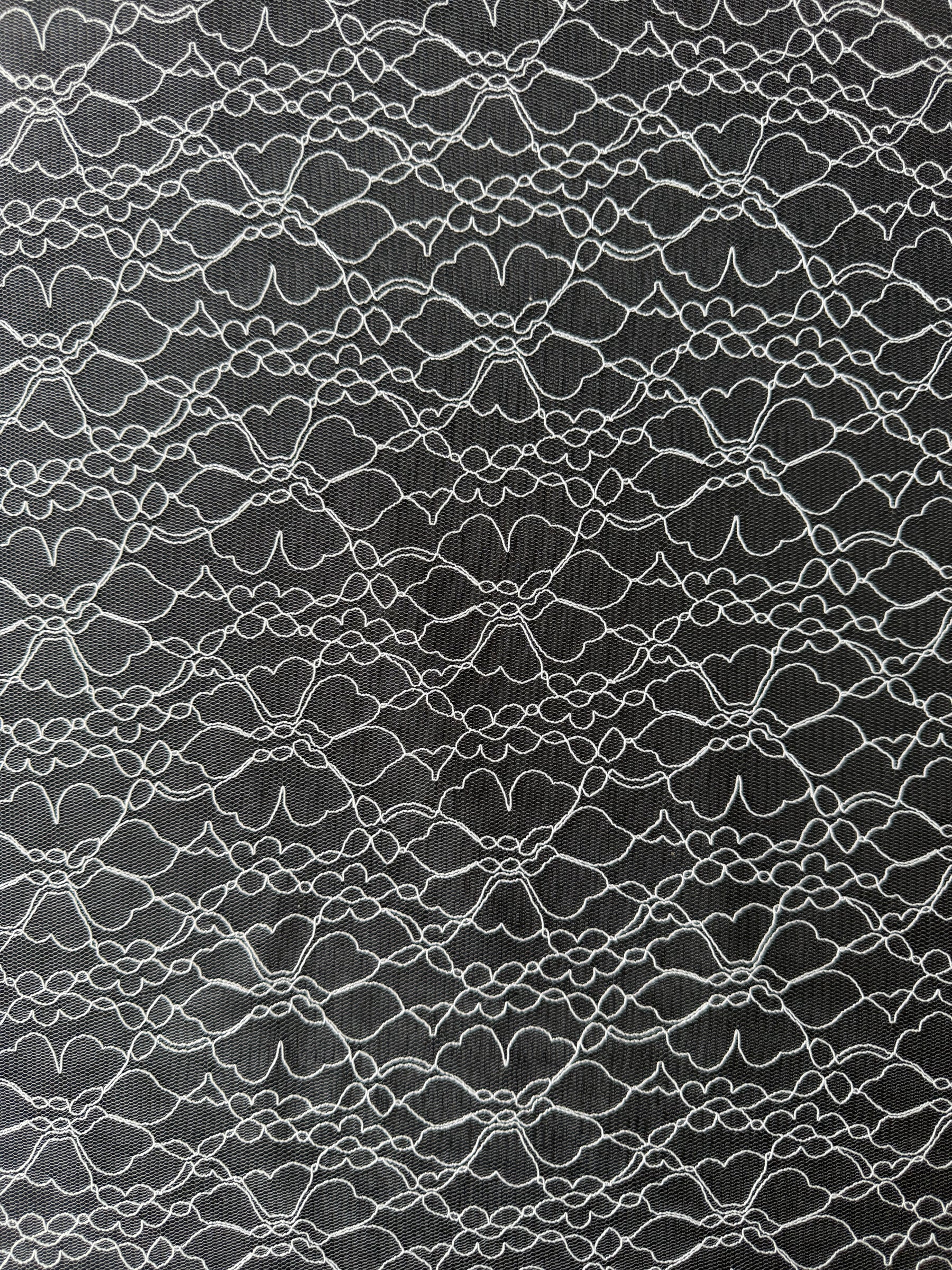 Tulle brodé ivoire clair - EB5030