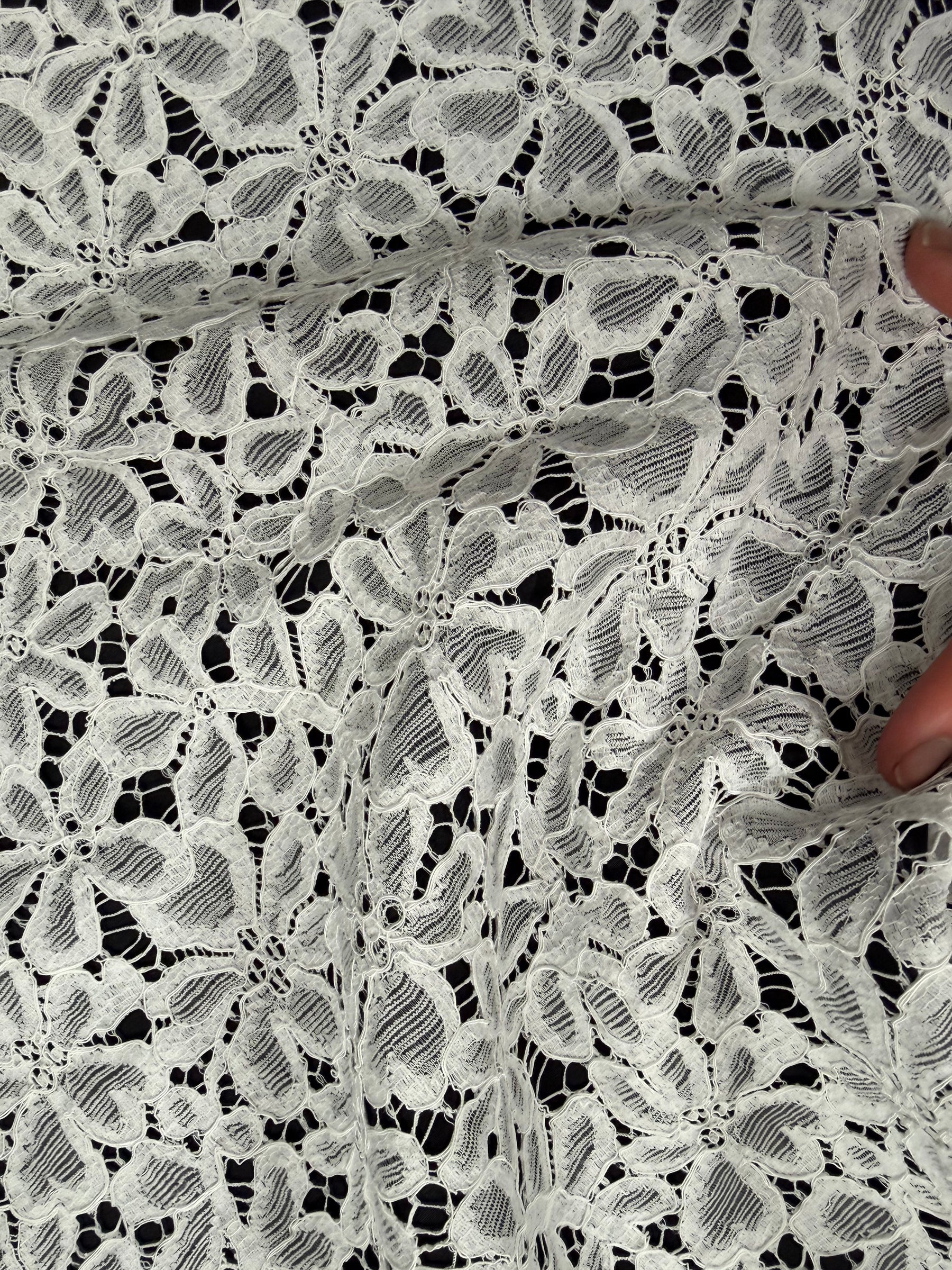 Dentelle française festonnée ivoire - LA4006