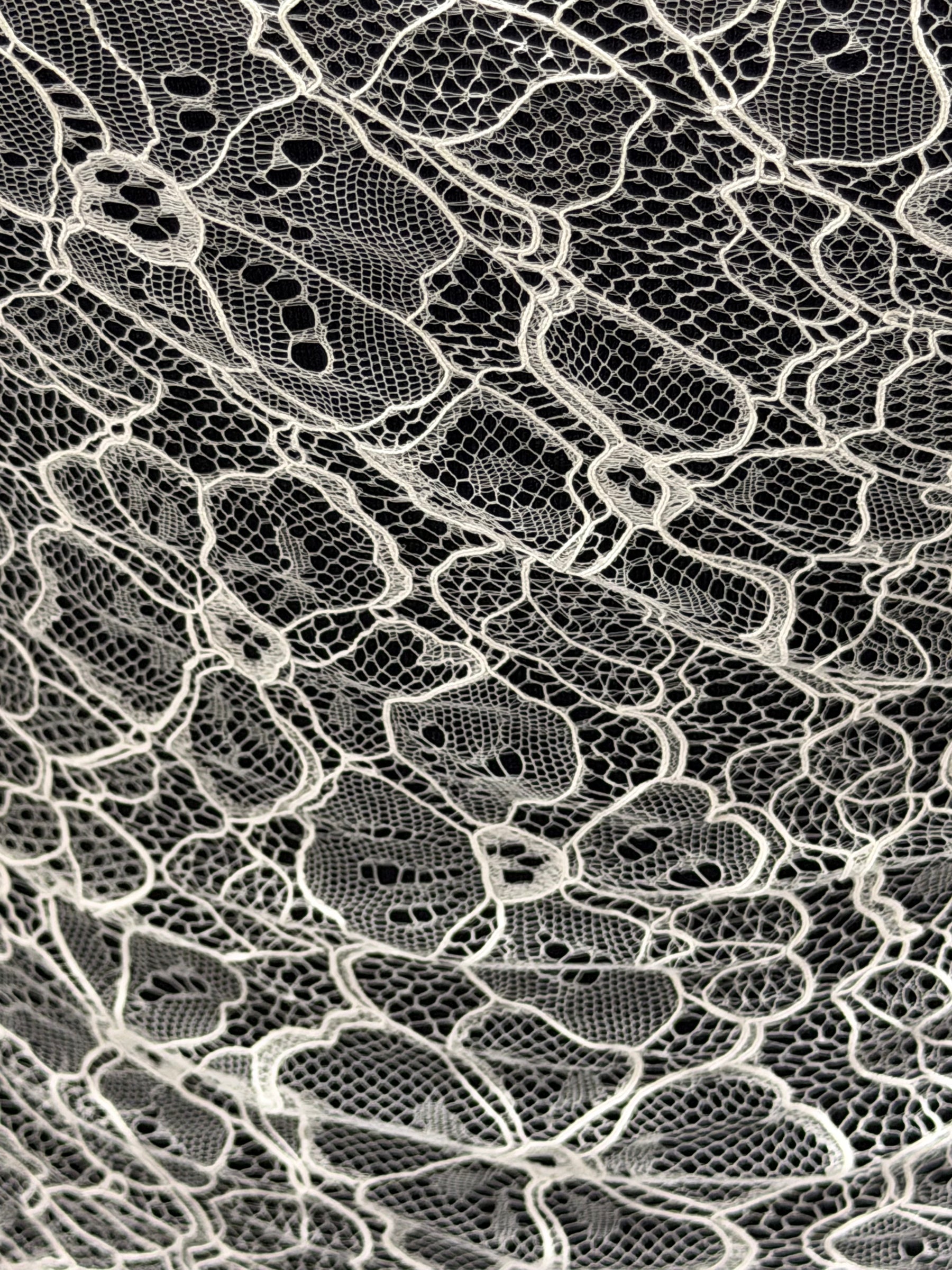 Dentelle Chantilly Cordonnée Ivoire - P727