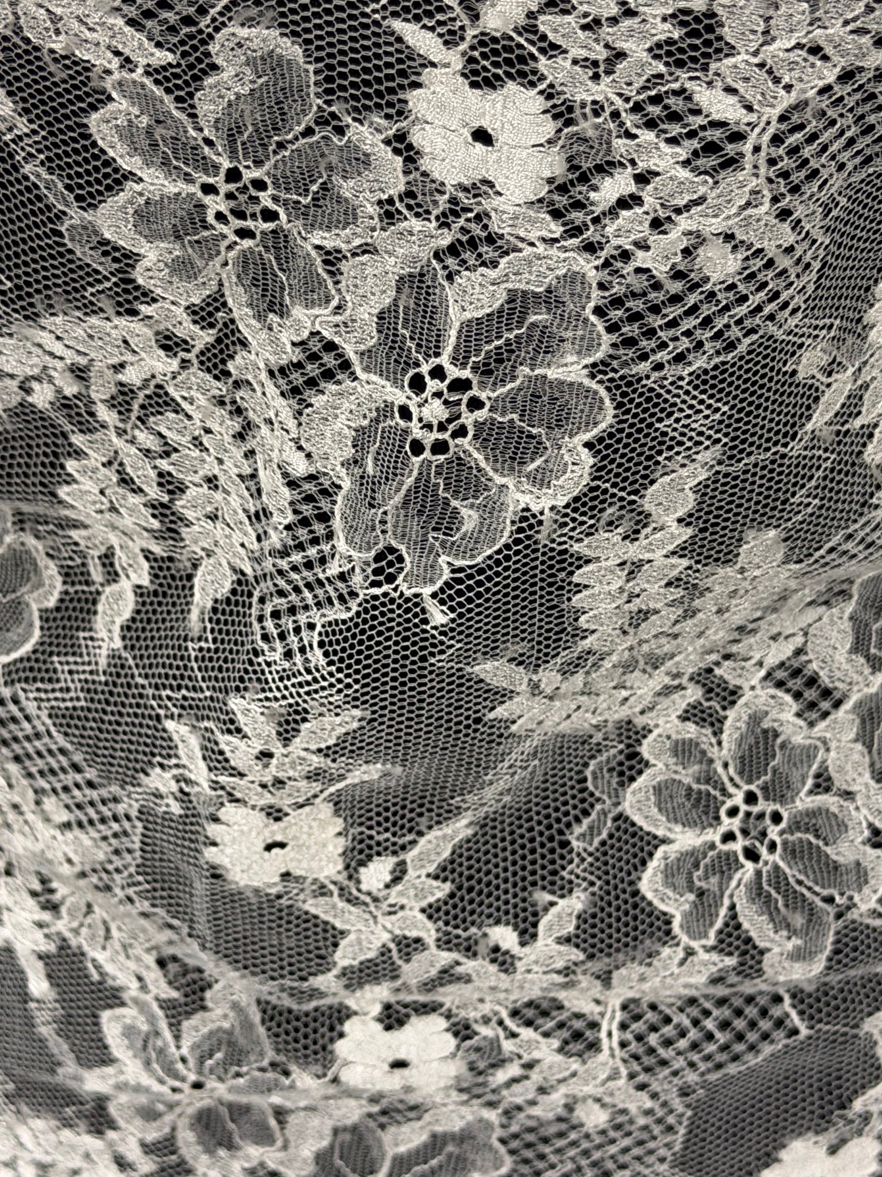 Ivory Leavers Lace - P736