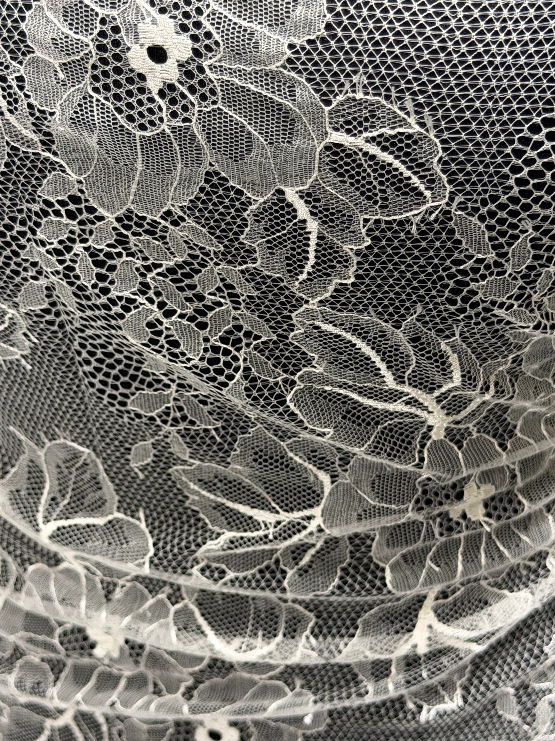Ivory Leavers Lace - P730