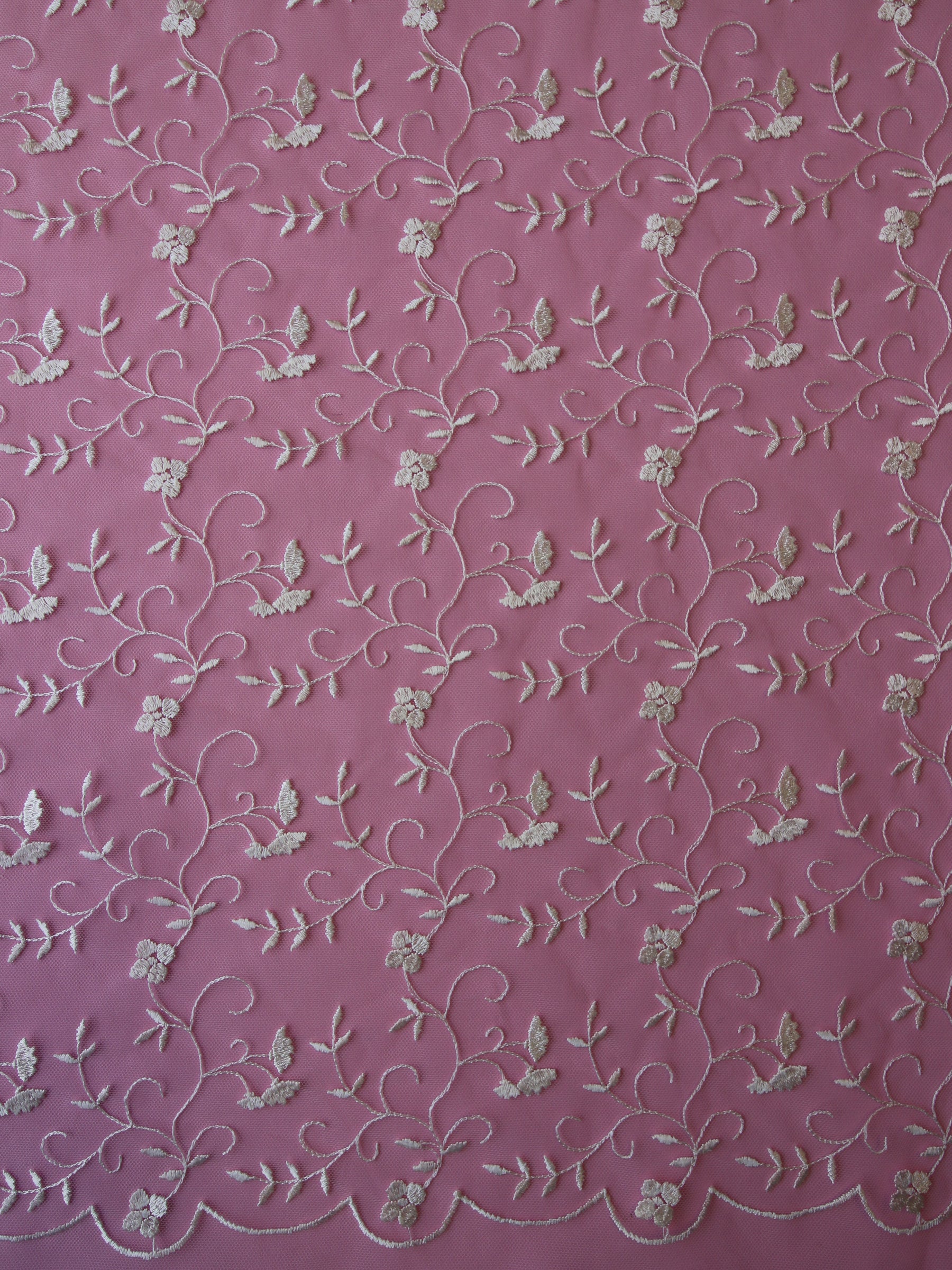 Dentelle Brodée Ivoire - Lake