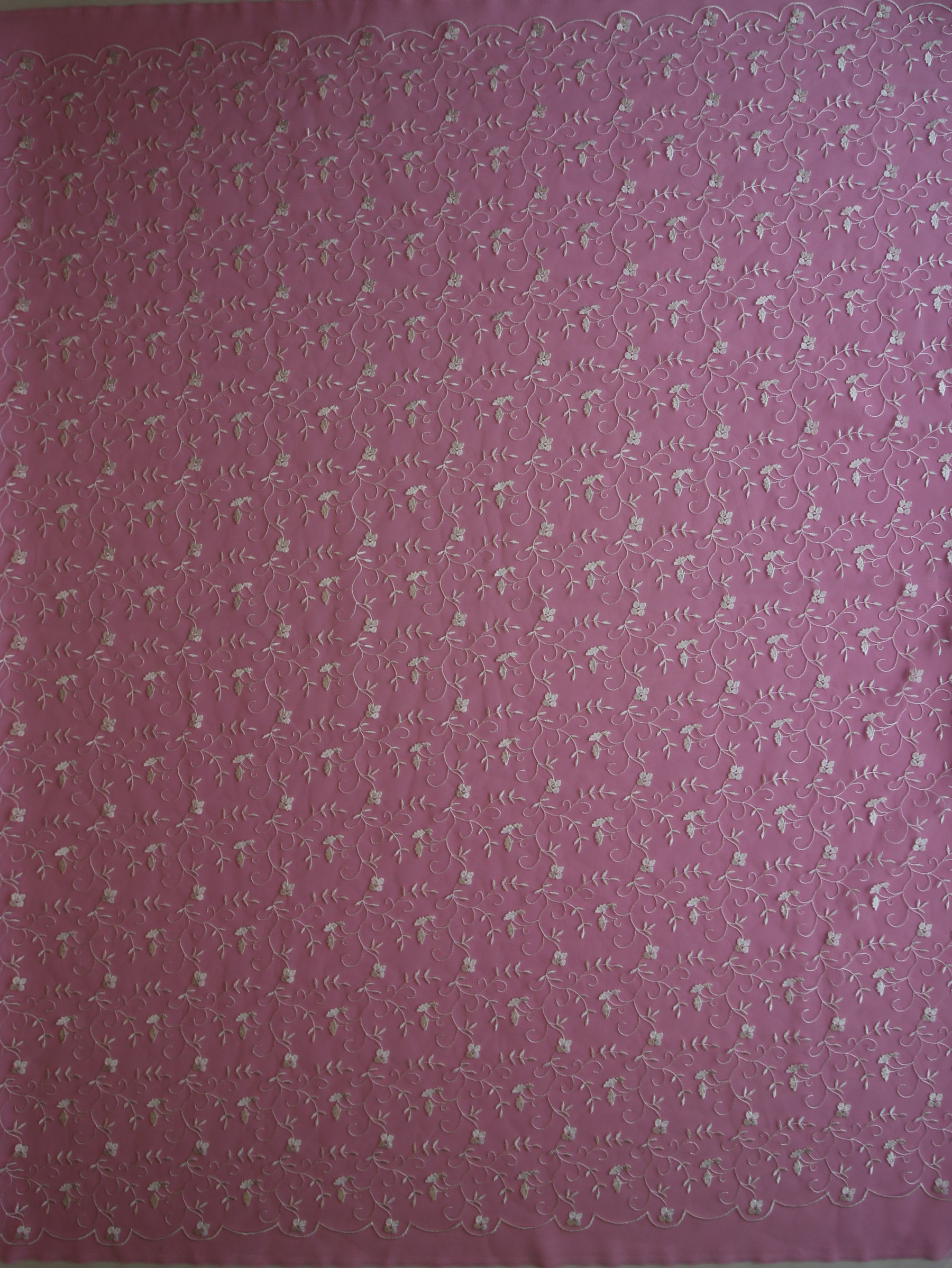 Dentelle Brodée Ivoire - Lake