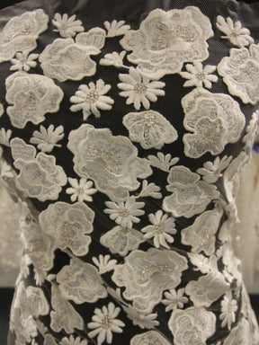 Dentelle Brodée Ivoire - Thora