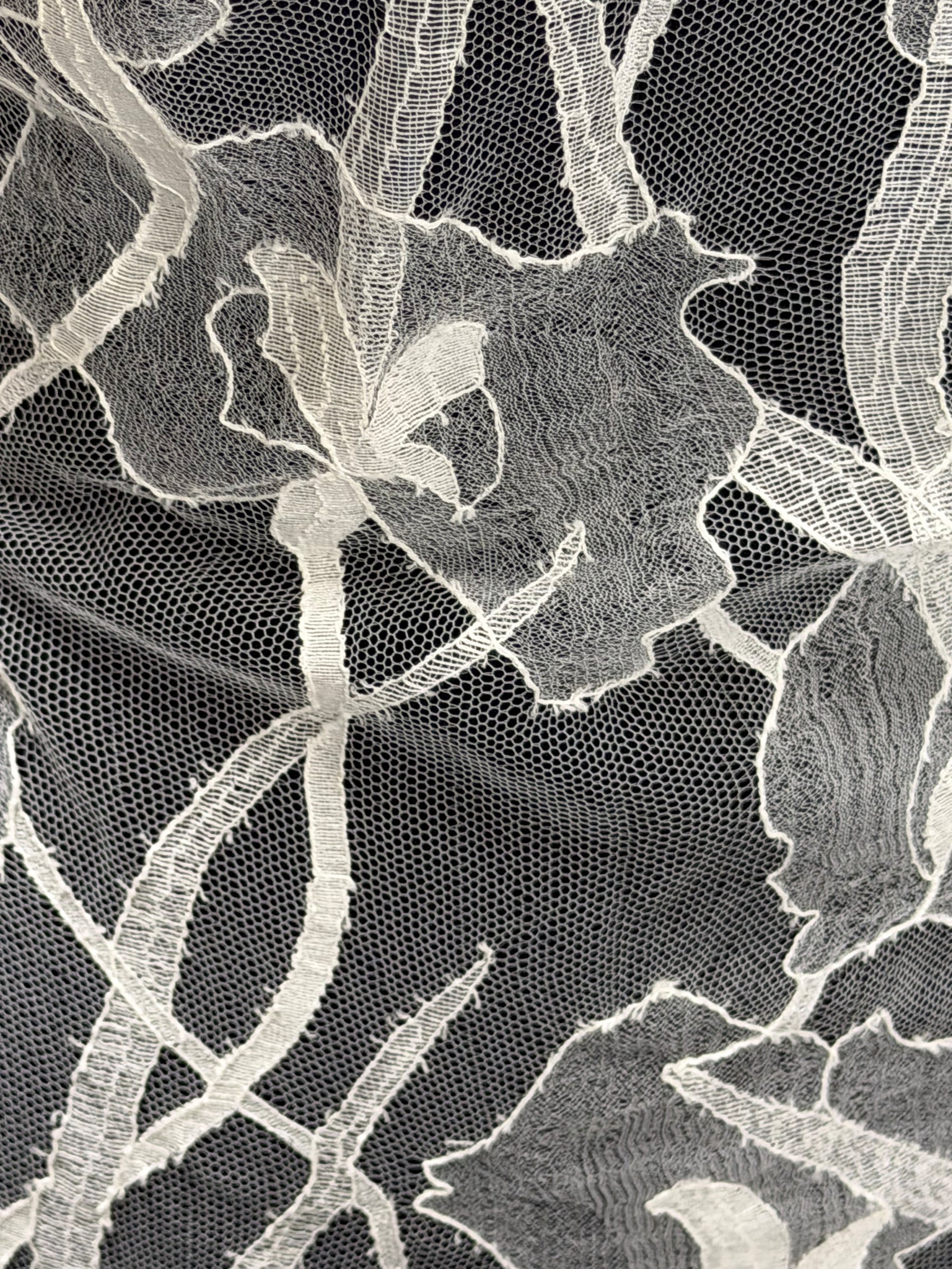 Dentelle Française Ivoire - LA2009