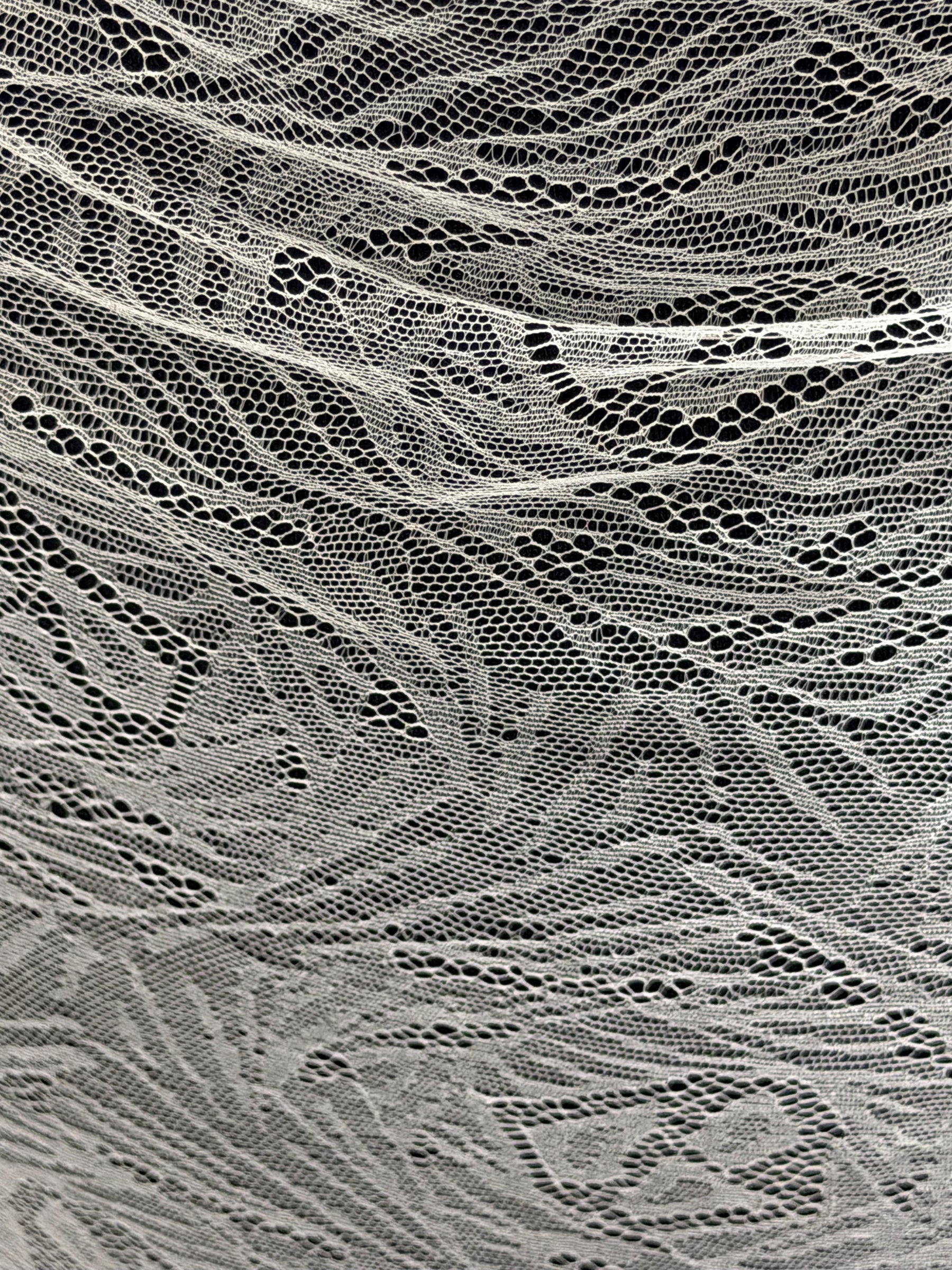 Dentelle Française Ivoire - LA2017