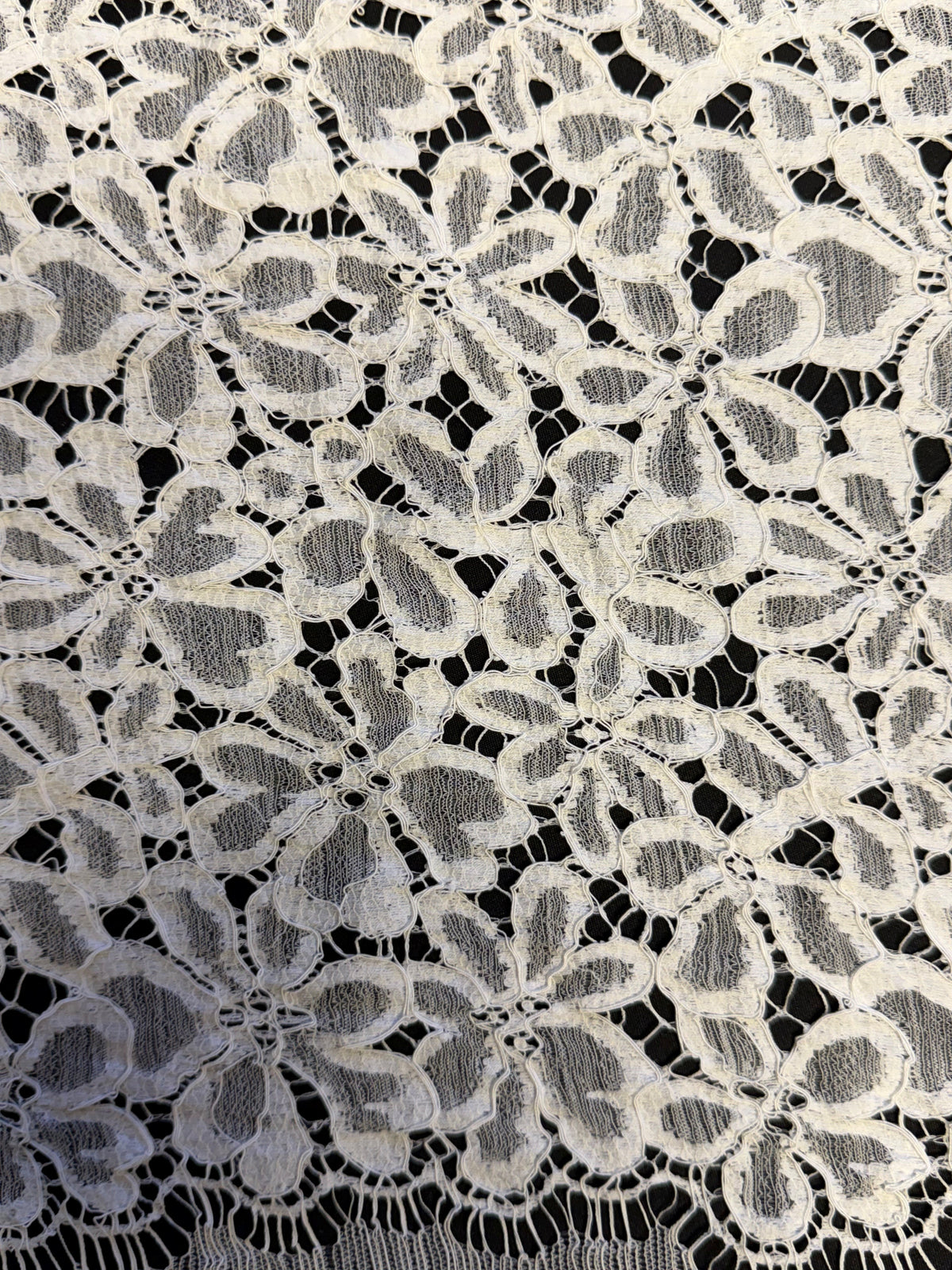 Dentelle française festonnée ivoire - LA4006