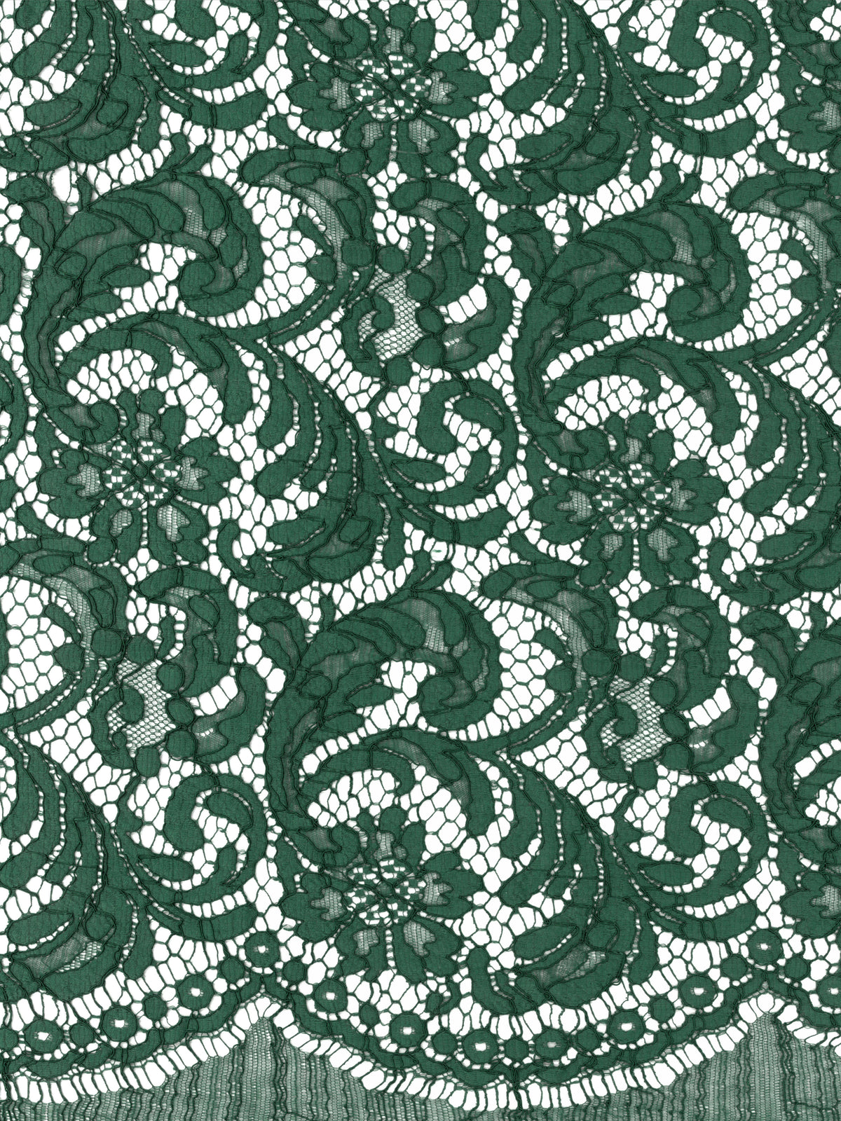 Dentelle cordée française émeraude Eco - LA4007